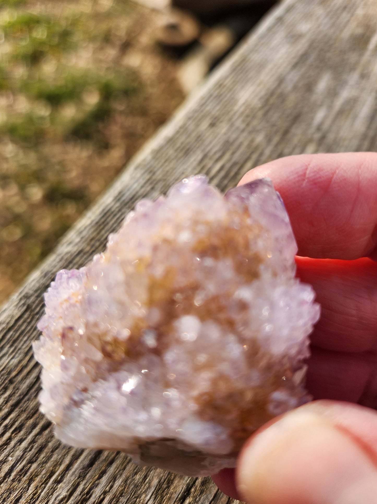 AAA Spirit Quartz Crystal: Ametrine Cactus Quartz from South Africa