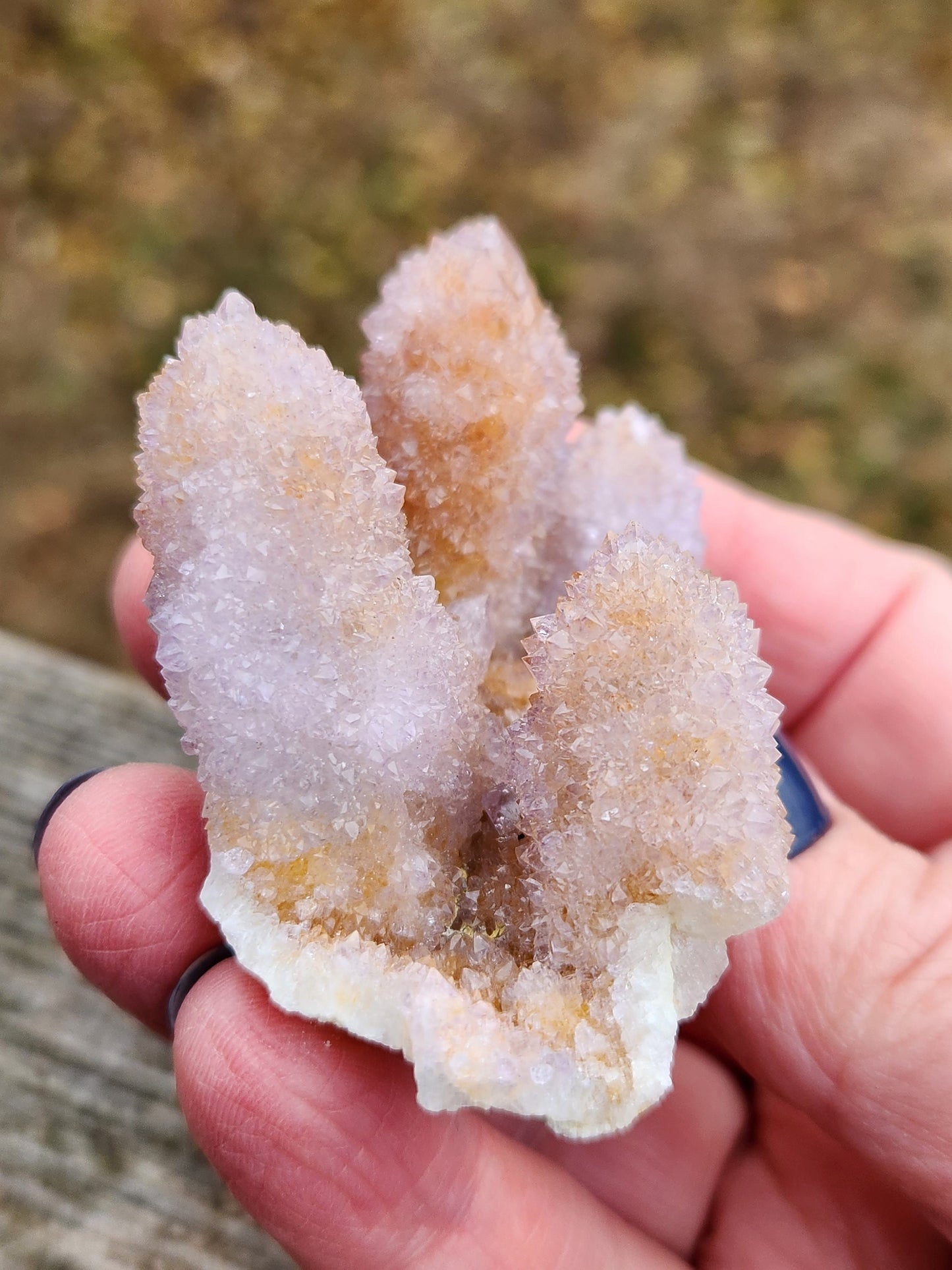 Beautiful AAA Very Large Spirit Quartz Raw Crystal with 4 Large Points Ametrine, South African Cactus Quartz