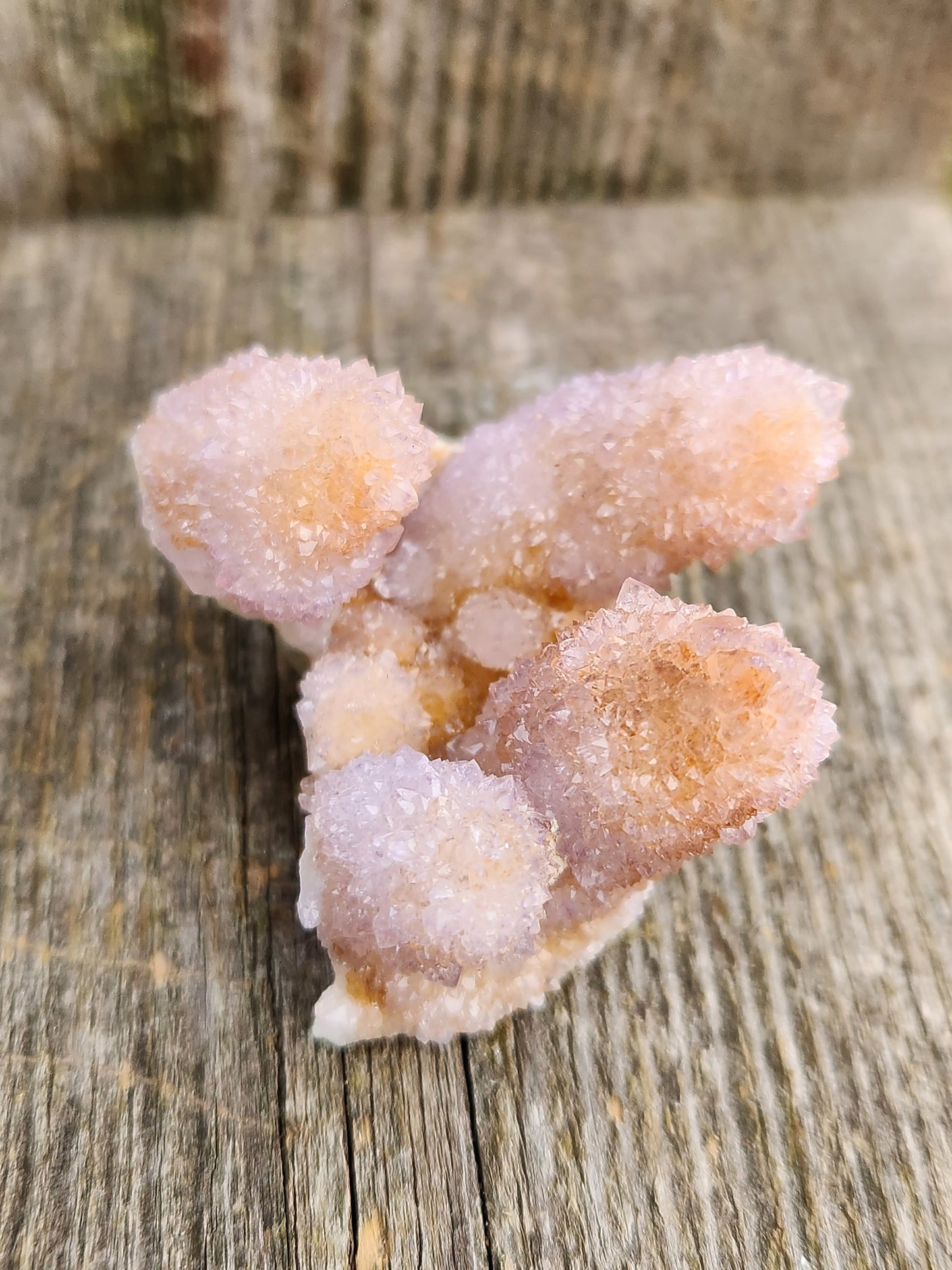 Beautiful AAA Very Large Spirit Quartz Raw Crystal with 4 Large Points Ametrine, South African Cactus Quartz