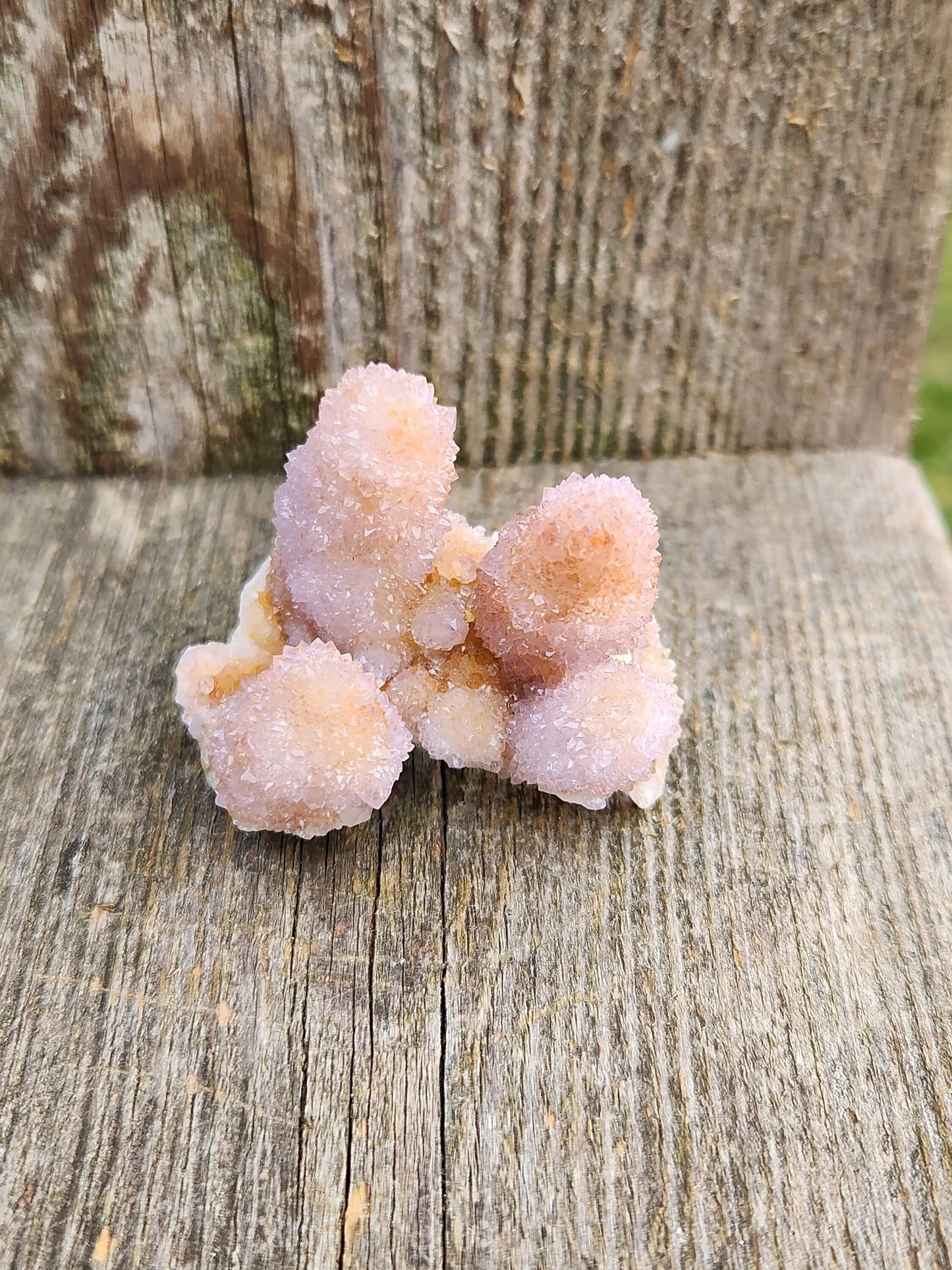 Beautiful AAA Very Large Spirit Quartz Raw Crystal with 4 Large Points Ametrine, South African Cactus Quartz
