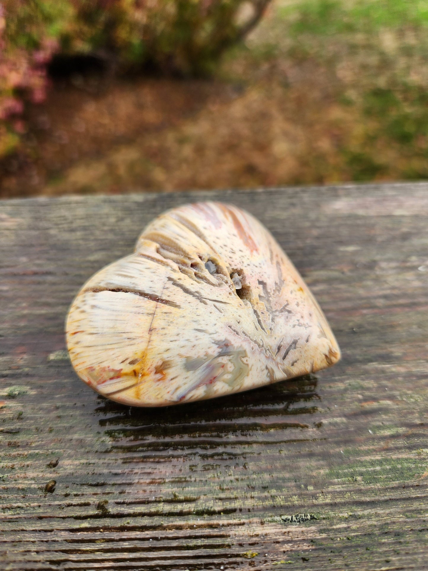 Gorgeous Druzy High Polished Bahia Jasper Crystal Heart Crystal Pockets