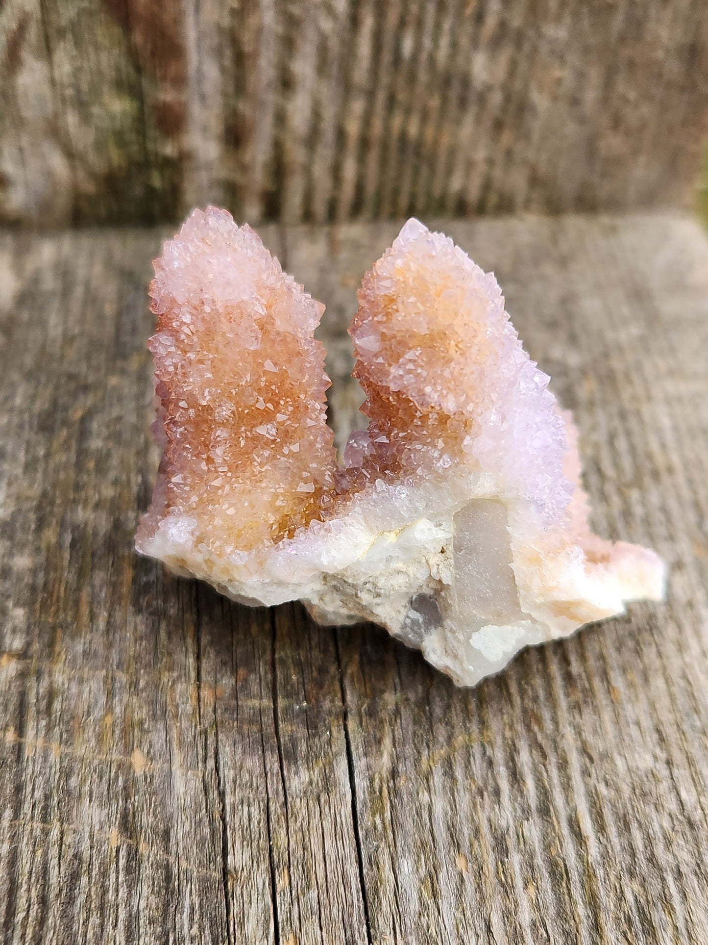 Beautiful AAA Very Large Spirit Quartz Raw Crystal with 4 Large Points Ametrine, South African Cactus Quartz