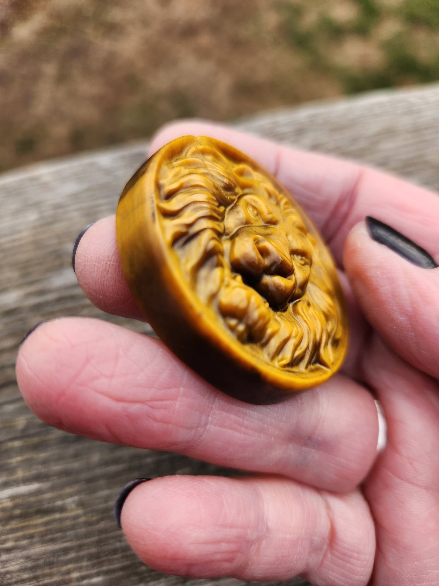 Tigers Eye Crystal Lion Coin Carving: Hand Carved Palm Stone