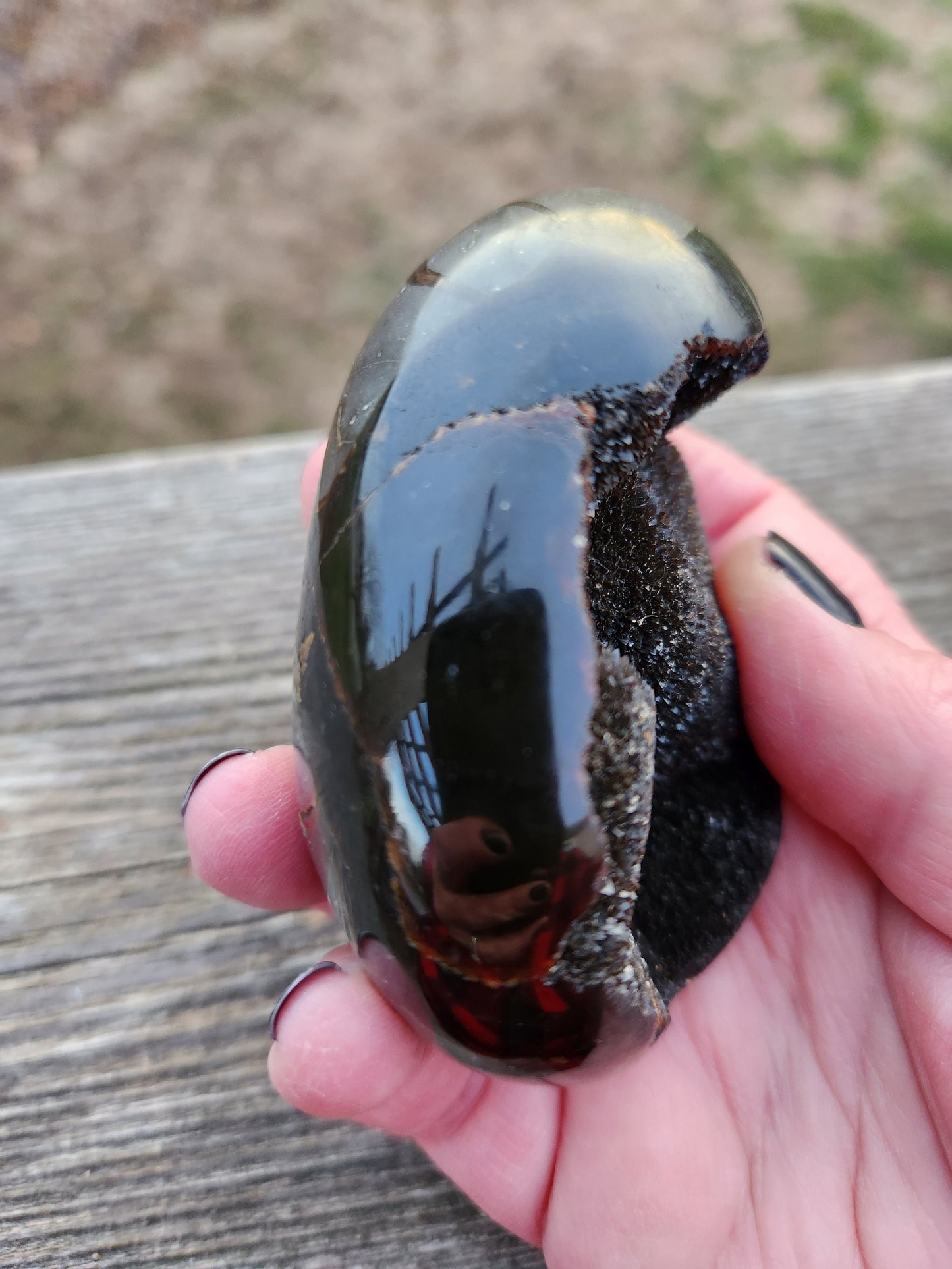Beautiful AAA High Quality Septarian Dragon Rock Egg Crystal with stand