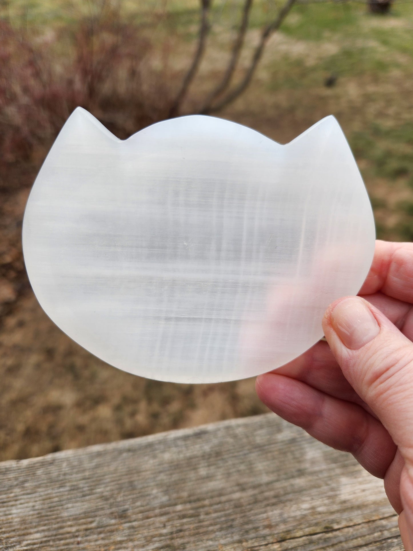 Beautiful Selenite Crystal Cat Shallow Bowl Tray Charging