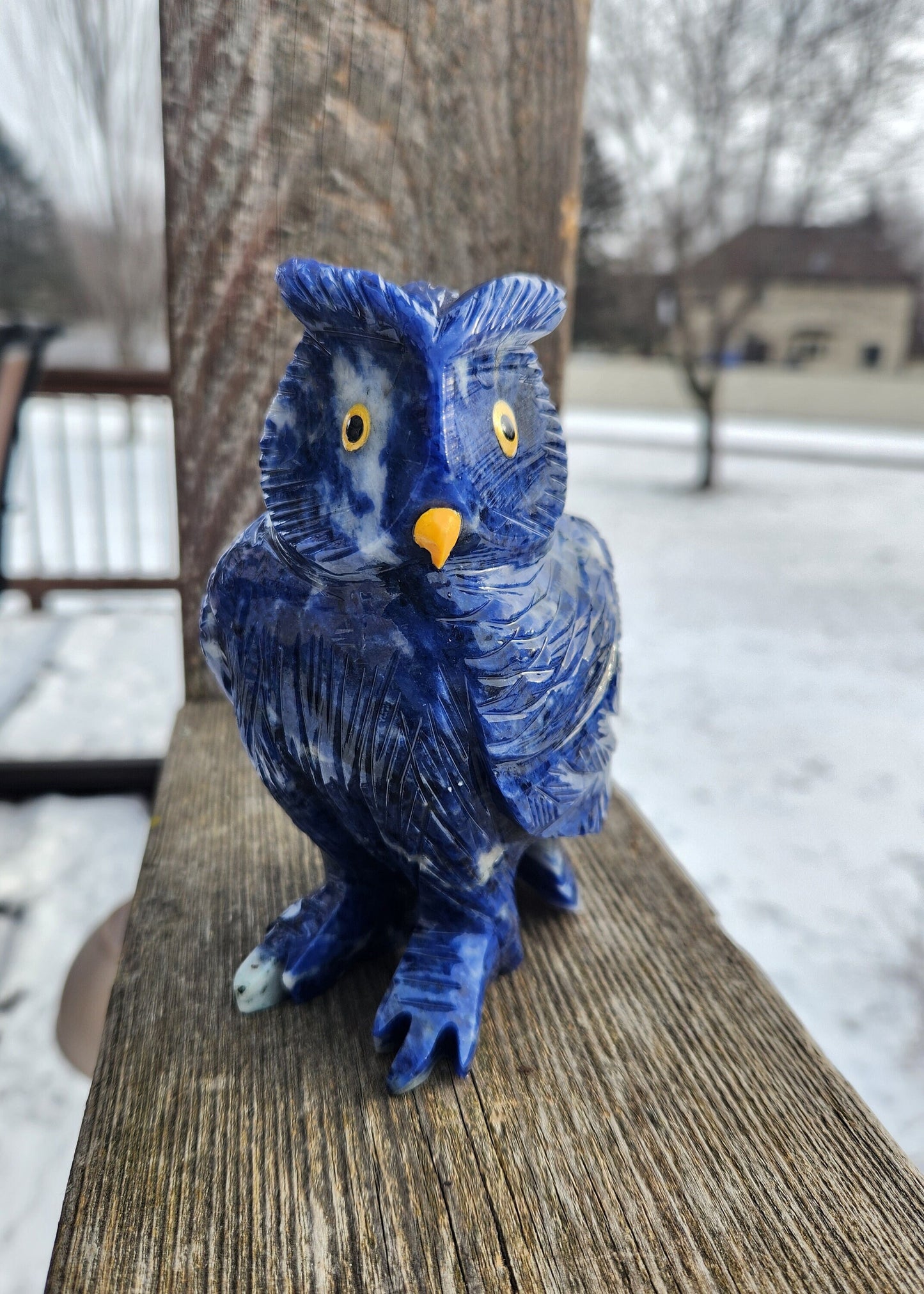 Gorgeous AAA Master Carved Sodalite Owl Crystal Statue, Rare