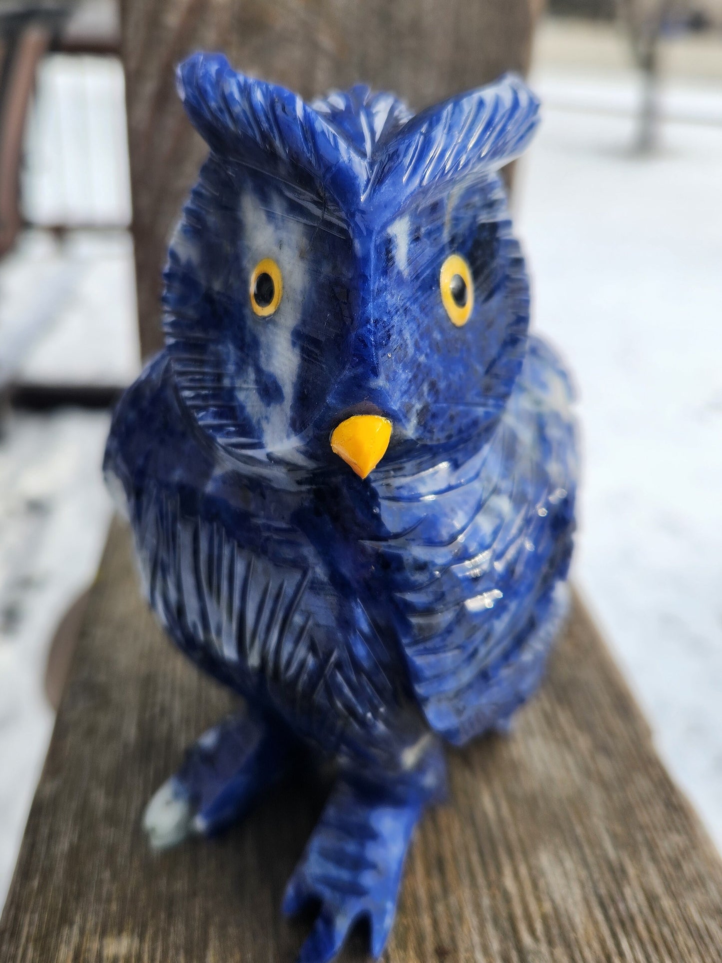 Gorgeous AAA Master Carved Sodalite Owl Crystal Statue, Rare