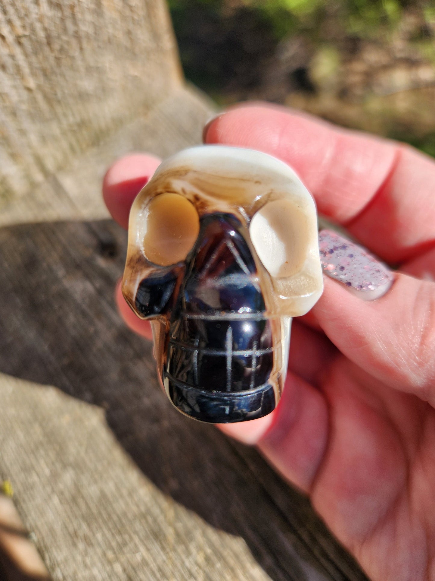 Spooky AAA High Quality Black Onyx Agate Crystal Unique Skull