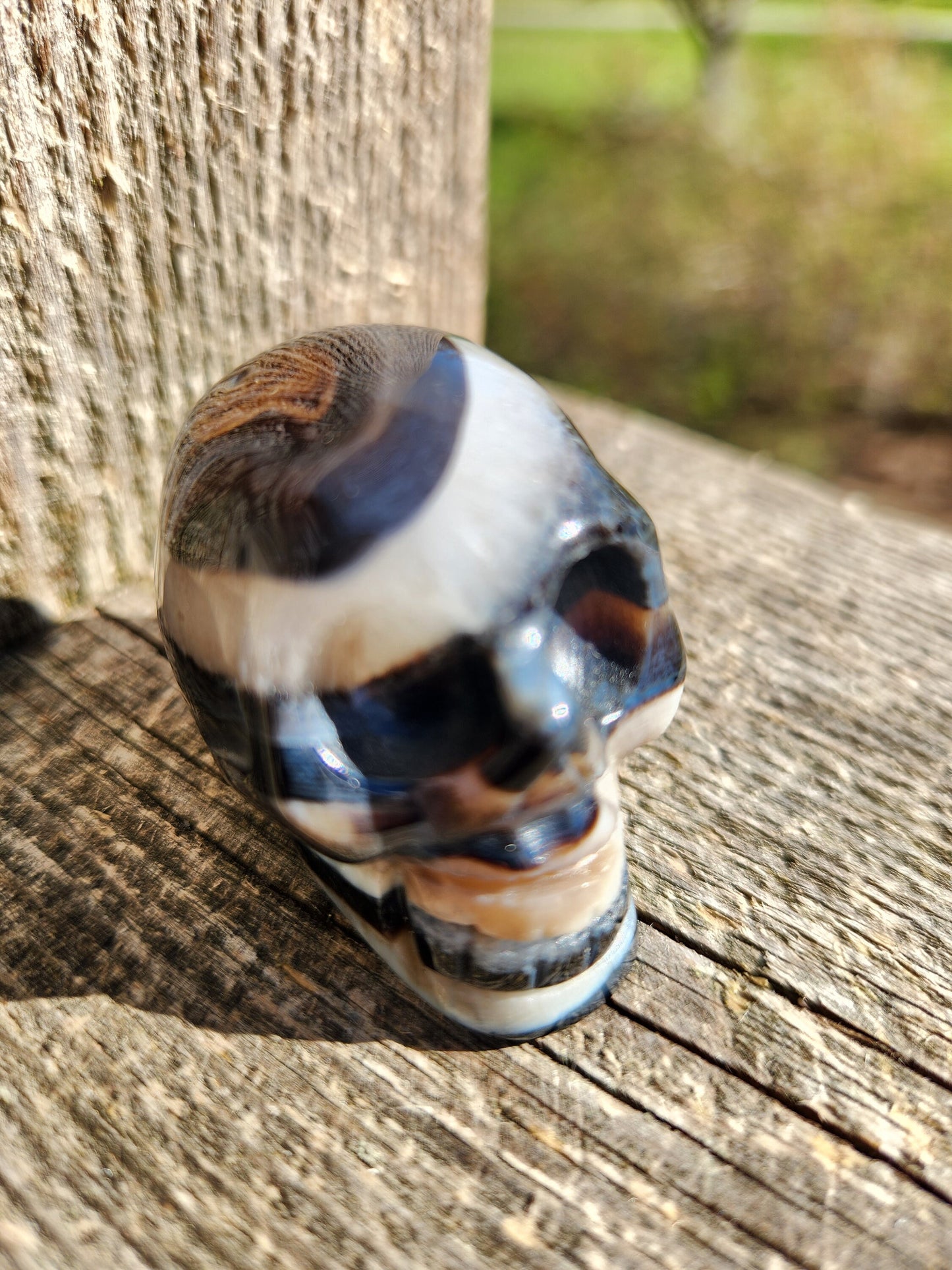 Black Onyx Skull: Hand Carved Agate Crystal, AAA Grade