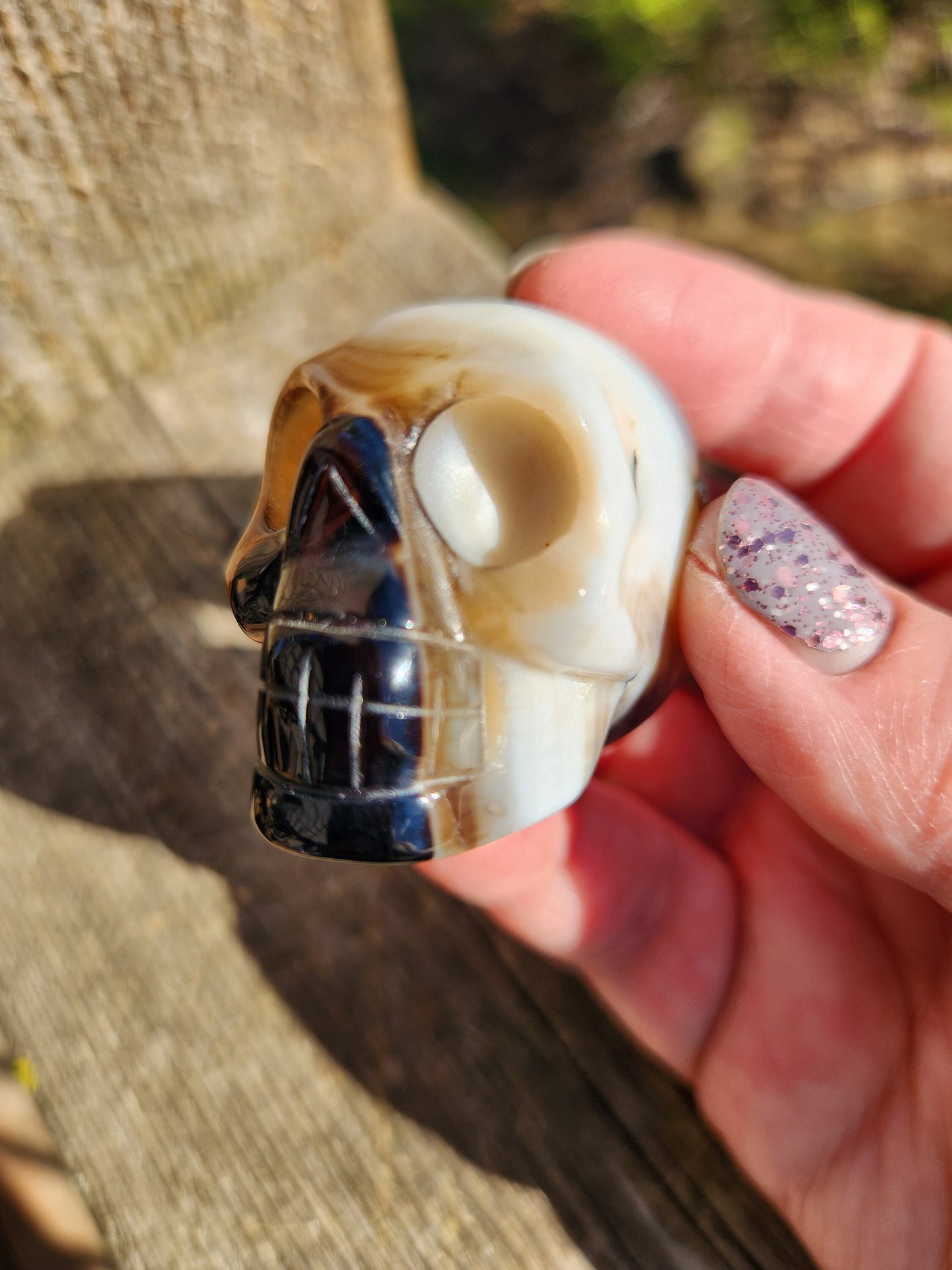 Spooky AAA High Quality Black Onyx Agate Crystal Unique Skull