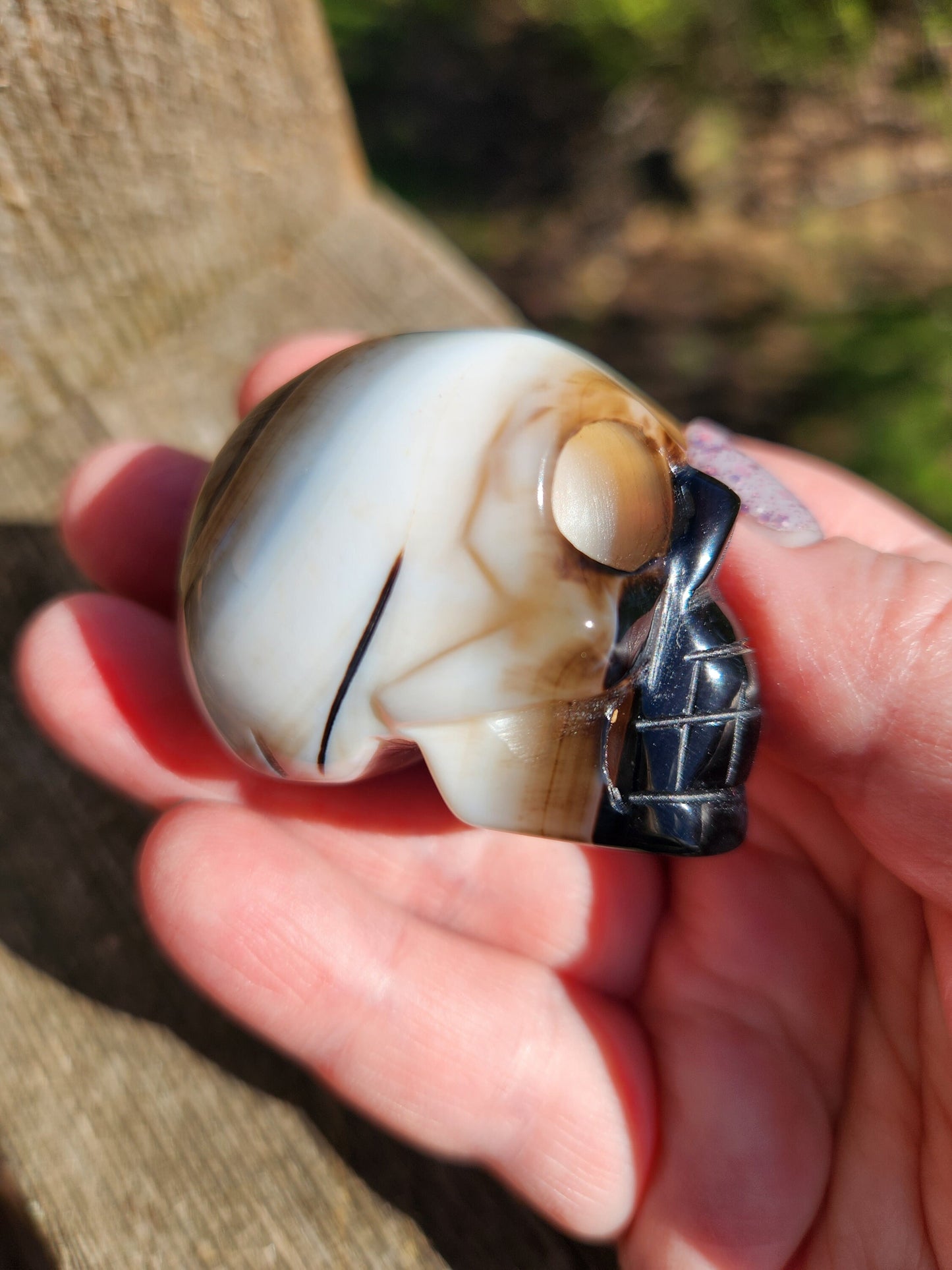 Spooky AAA High Quality Black Onyx Agate Crystal Unique Skull