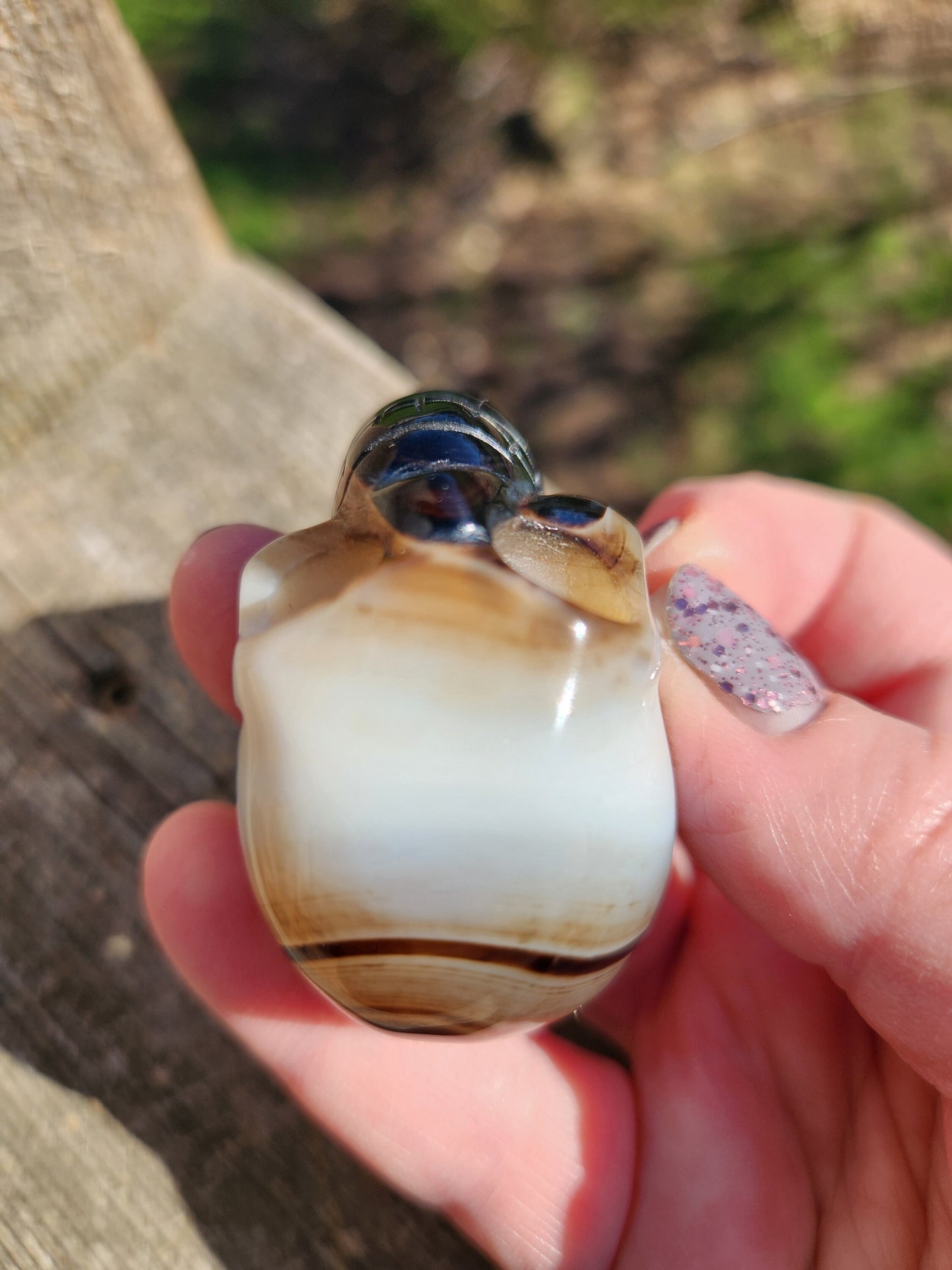 Spooky AAA High Quality Black Onyx Agate Crystal Unique Skull