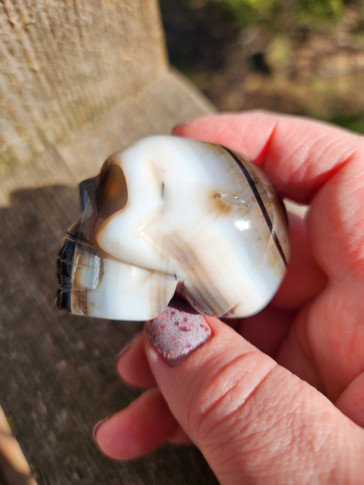 Spooky AAA High Quality Black Onyx Agate Crystal Unique Skull