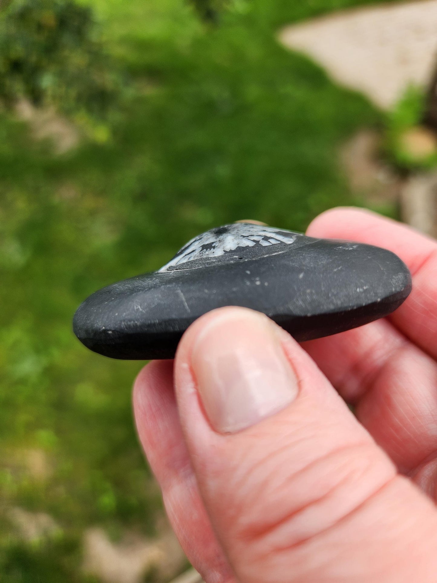 Beautifully Smooth Chrysanthemum Stone Crystal, Palm Stone