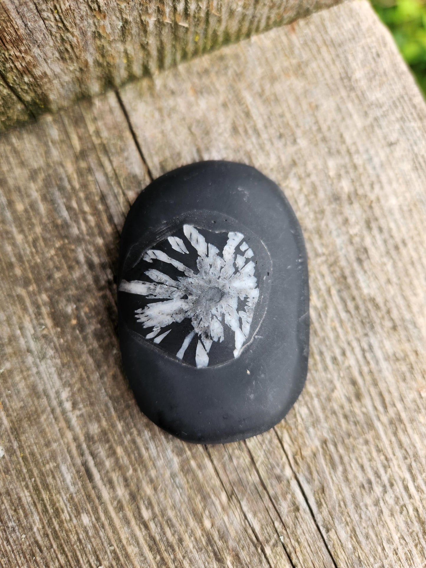 Beautifully Smooth Chrysanthemum Stone Crystal, Palm Stone