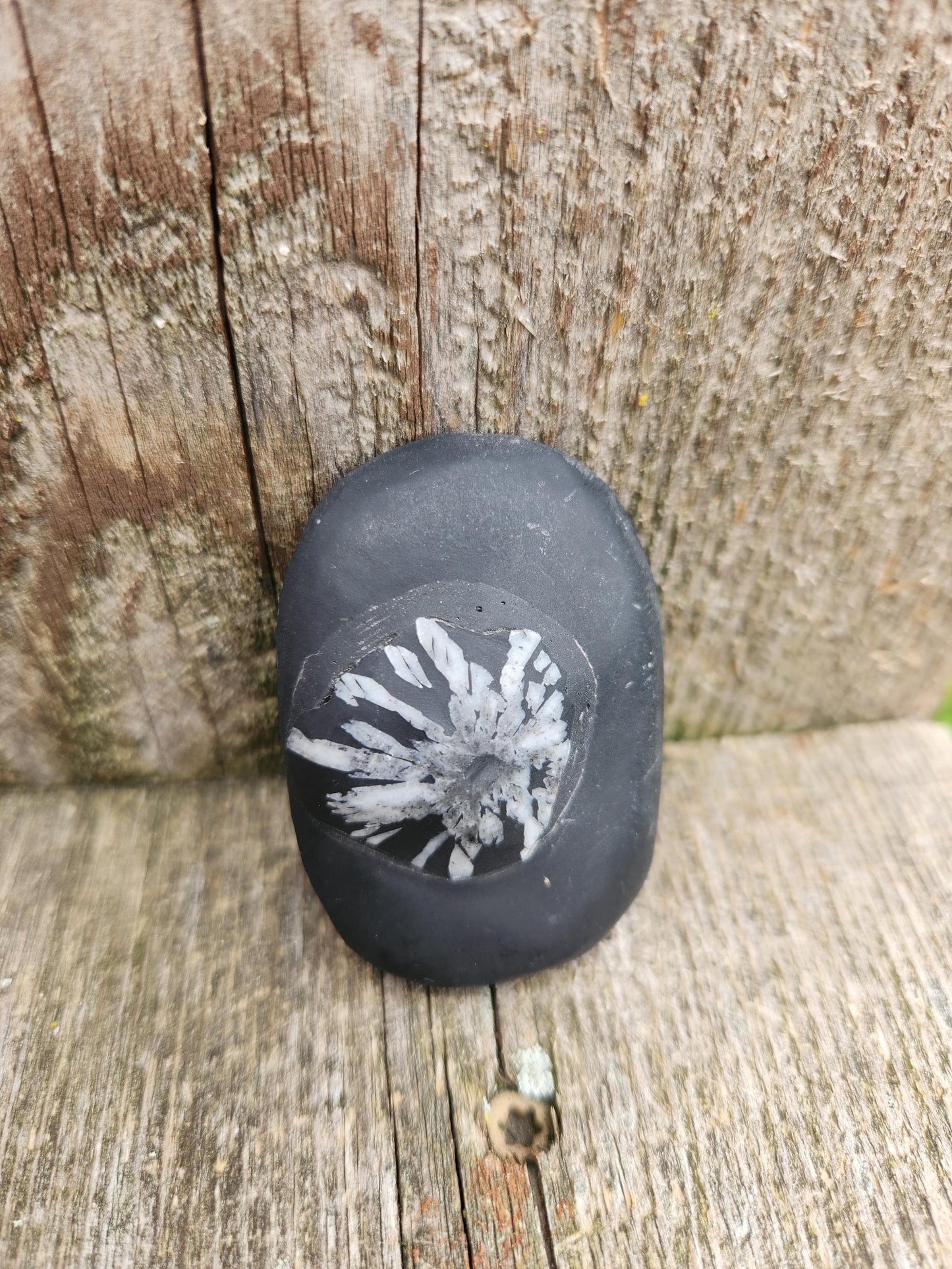 Beautifully Smooth Chrysanthemum Stone Crystal, Palm Stone