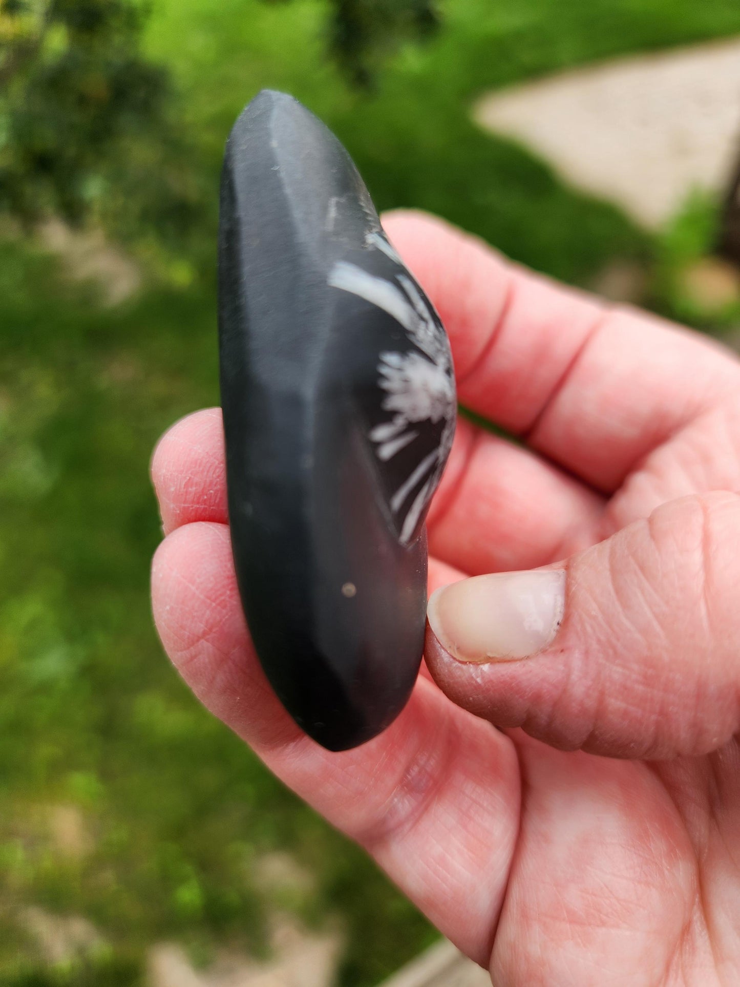 Beautifully Smooth Chrysanthemum Stone Crystal, Palm Stone