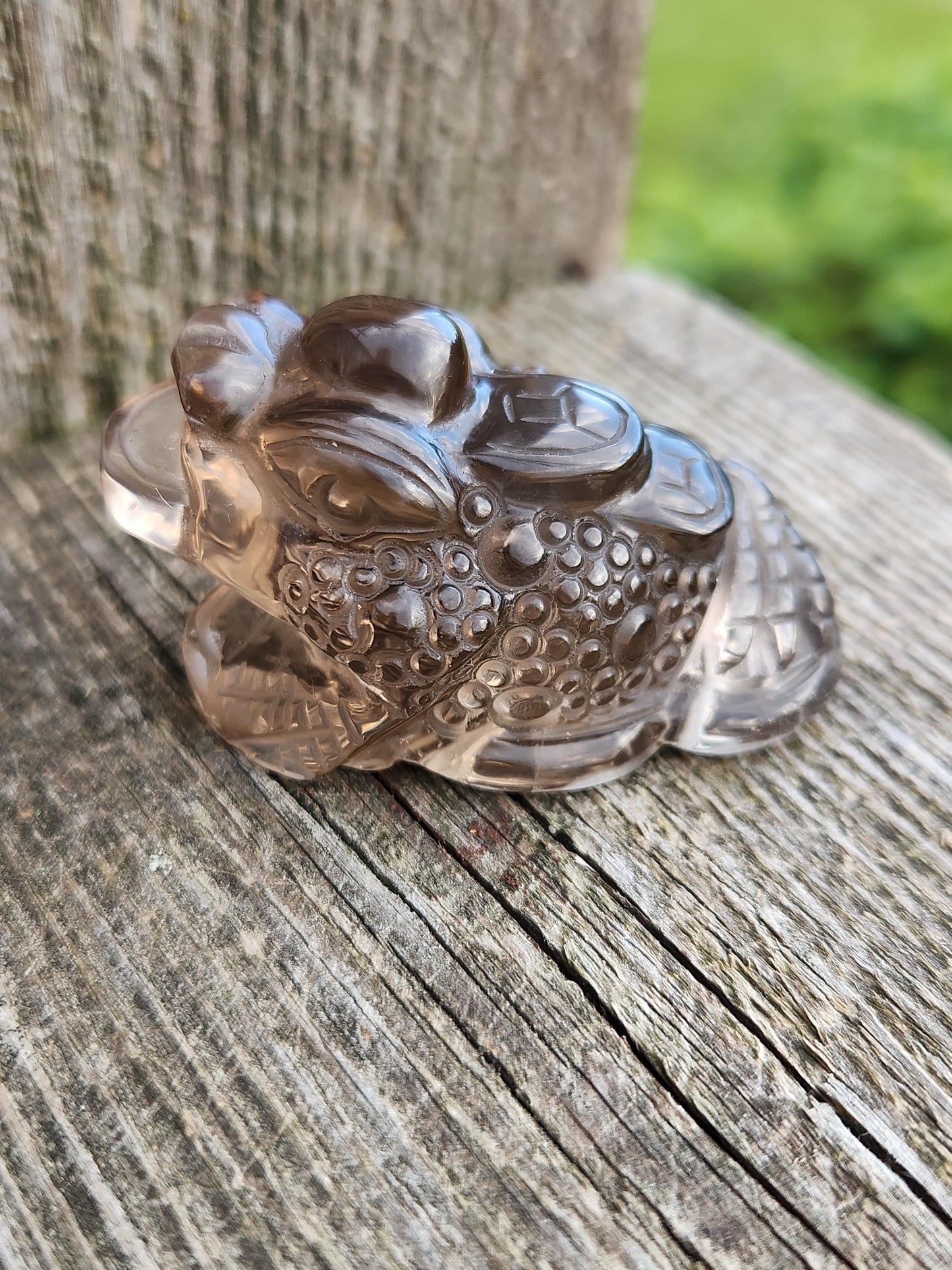 Gorgeous AAA Smoky Quartz Crystal Money Toad All Natural