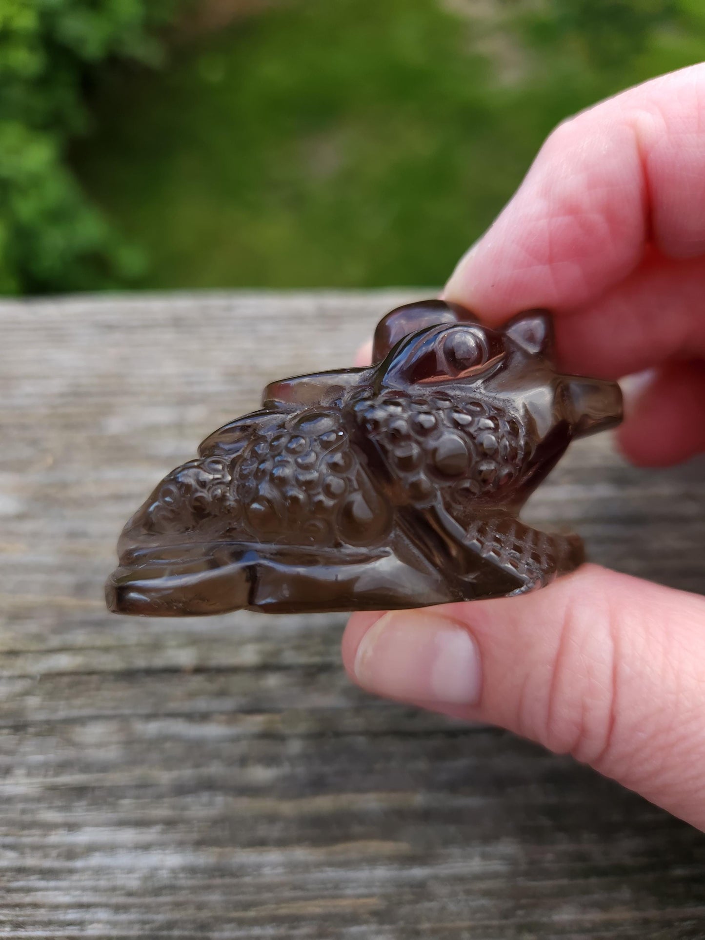 Gorgeous AAA Smoky Quartz Crystal Money Toad All Natural