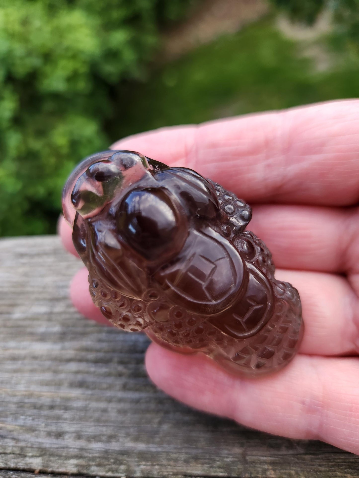 Gorgeous AAA Smoky Quartz Crystal Money Toad All Natural