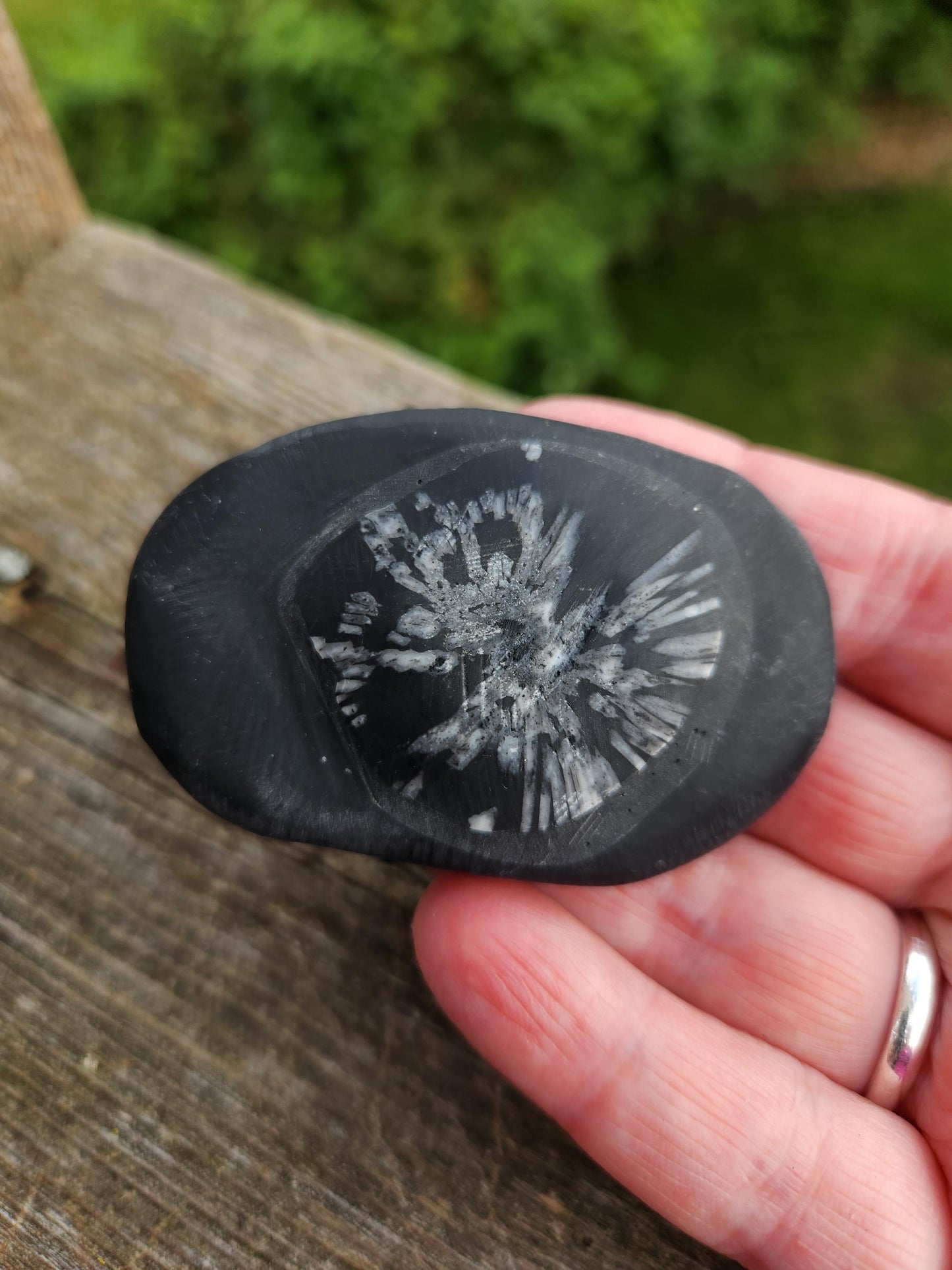 Chrysanthemum Stone Crystal, Unique Flower Palm Stone