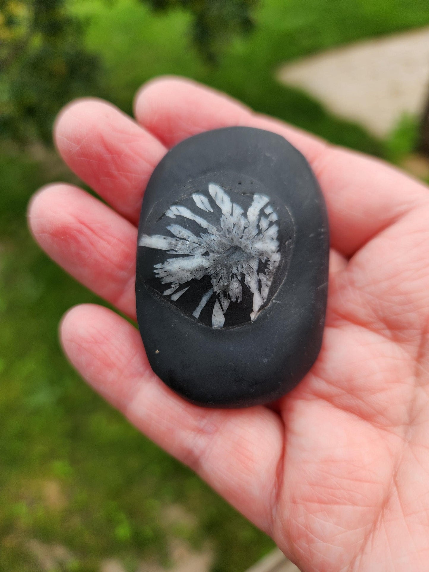 Beautifully Smooth Chrysanthemum Stone Crystal, Palm Stone