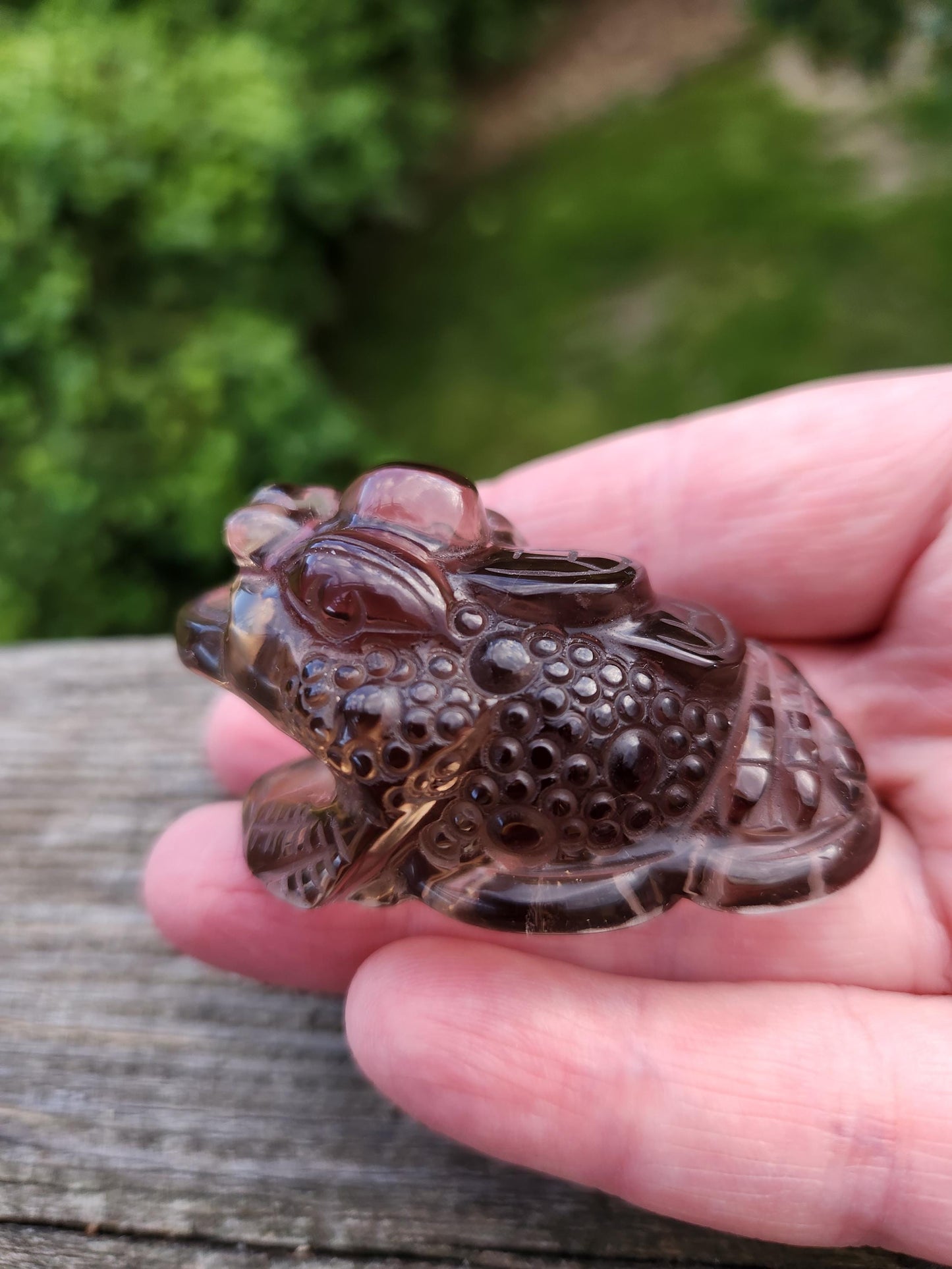 Gorgeous AAA Smoky Quartz Crystal Money Toad All Natural