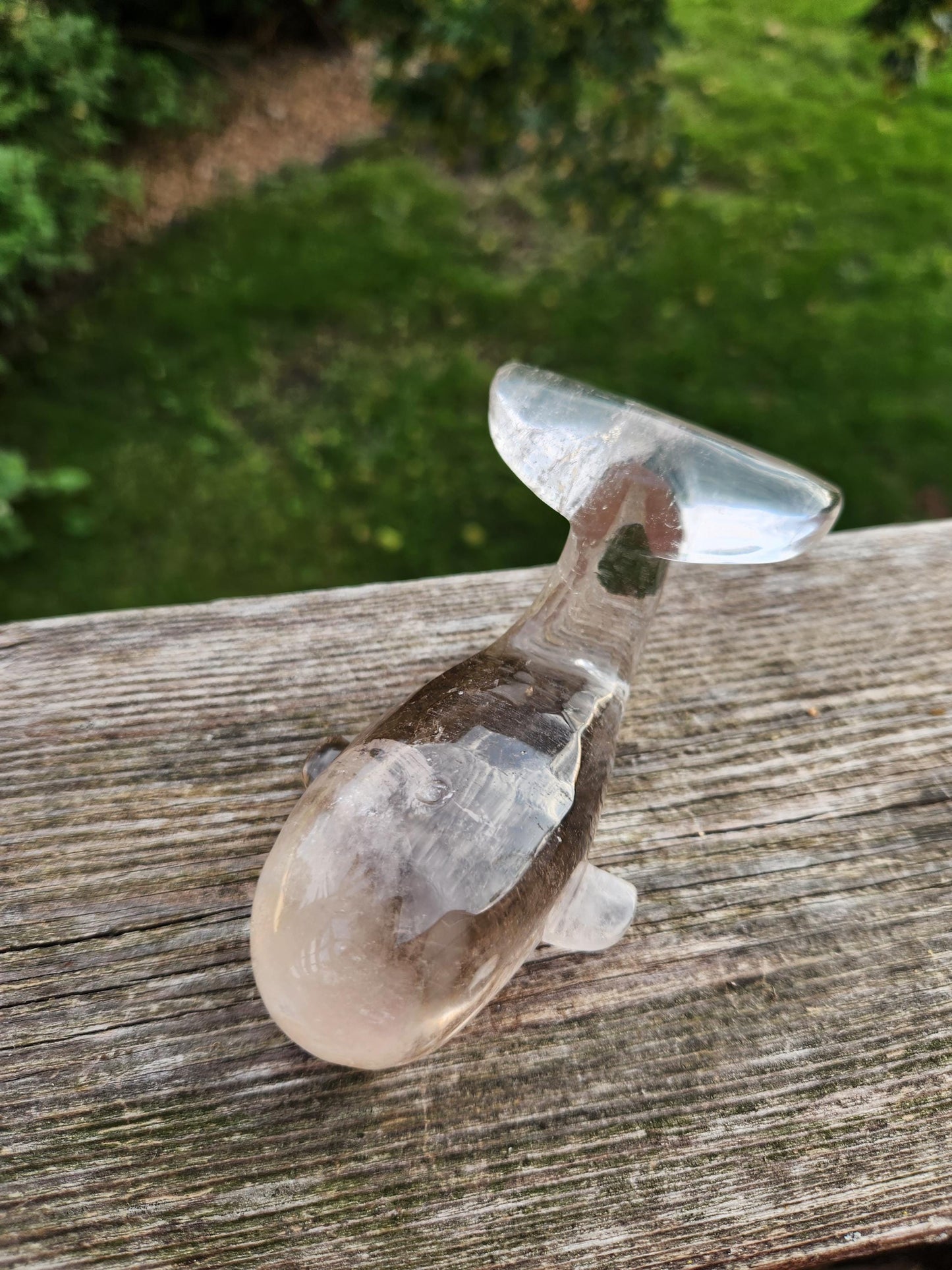 Smoky Quartz Whale Crystal: High Polish Carving, Brazil