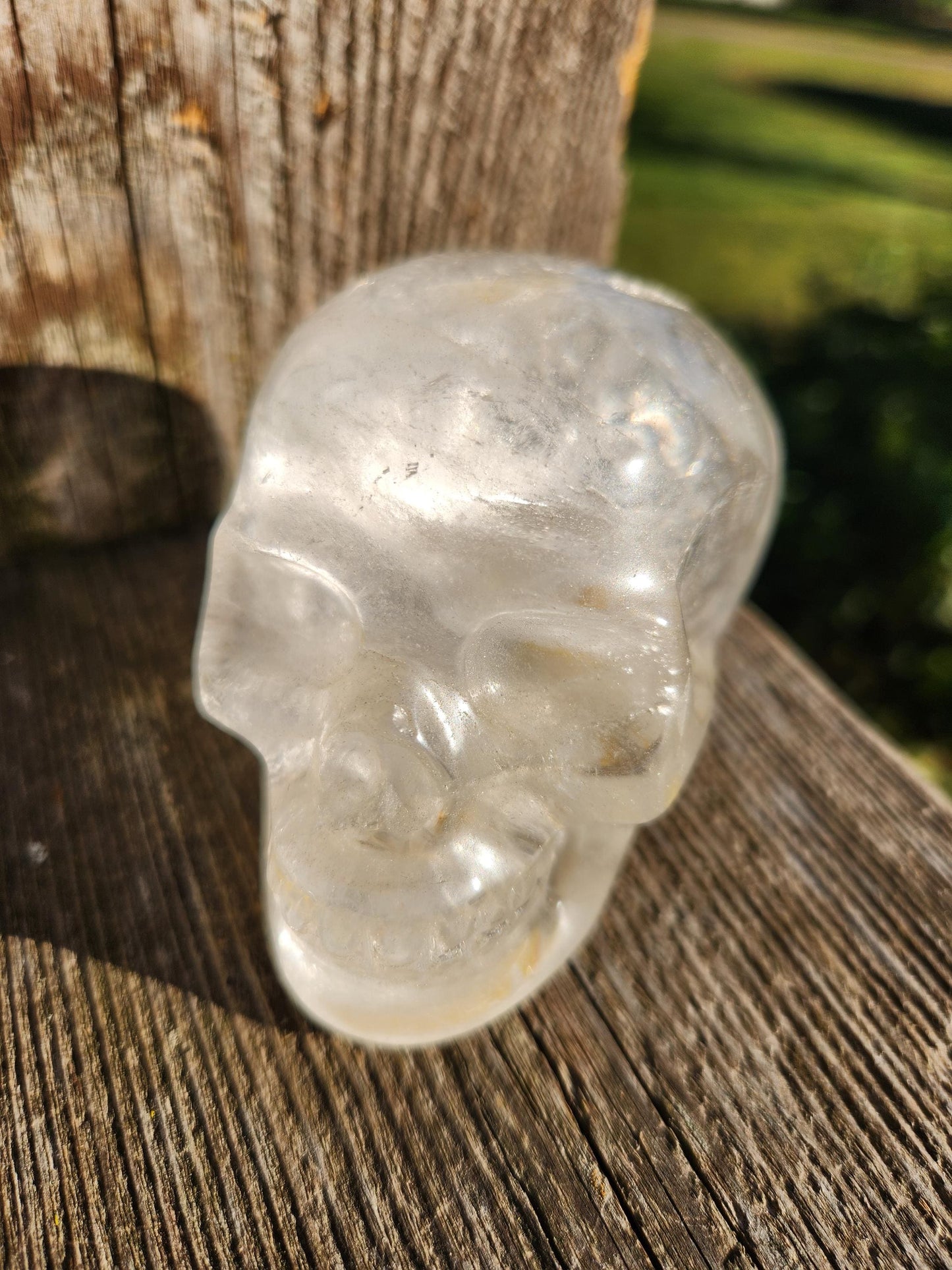 Amazing Clear Quartz Crystal Skull with Golden Healer Inclusions