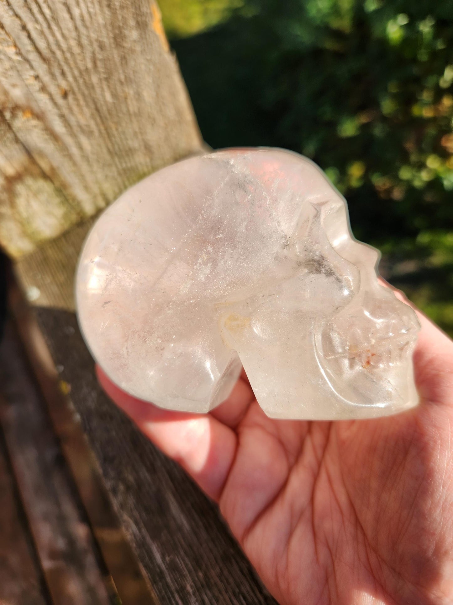 Amazing Clear Quartz Crystal Skull with Golden Healer Inclusions