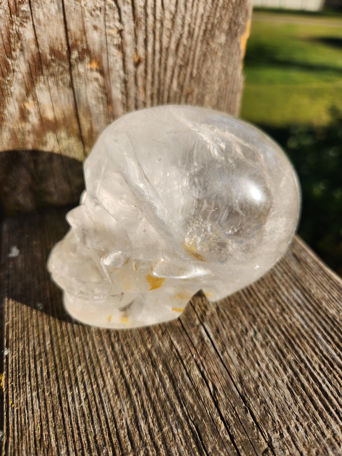 Amazing Clear Quartz Crystal Skull with Golden Healer Inclusions