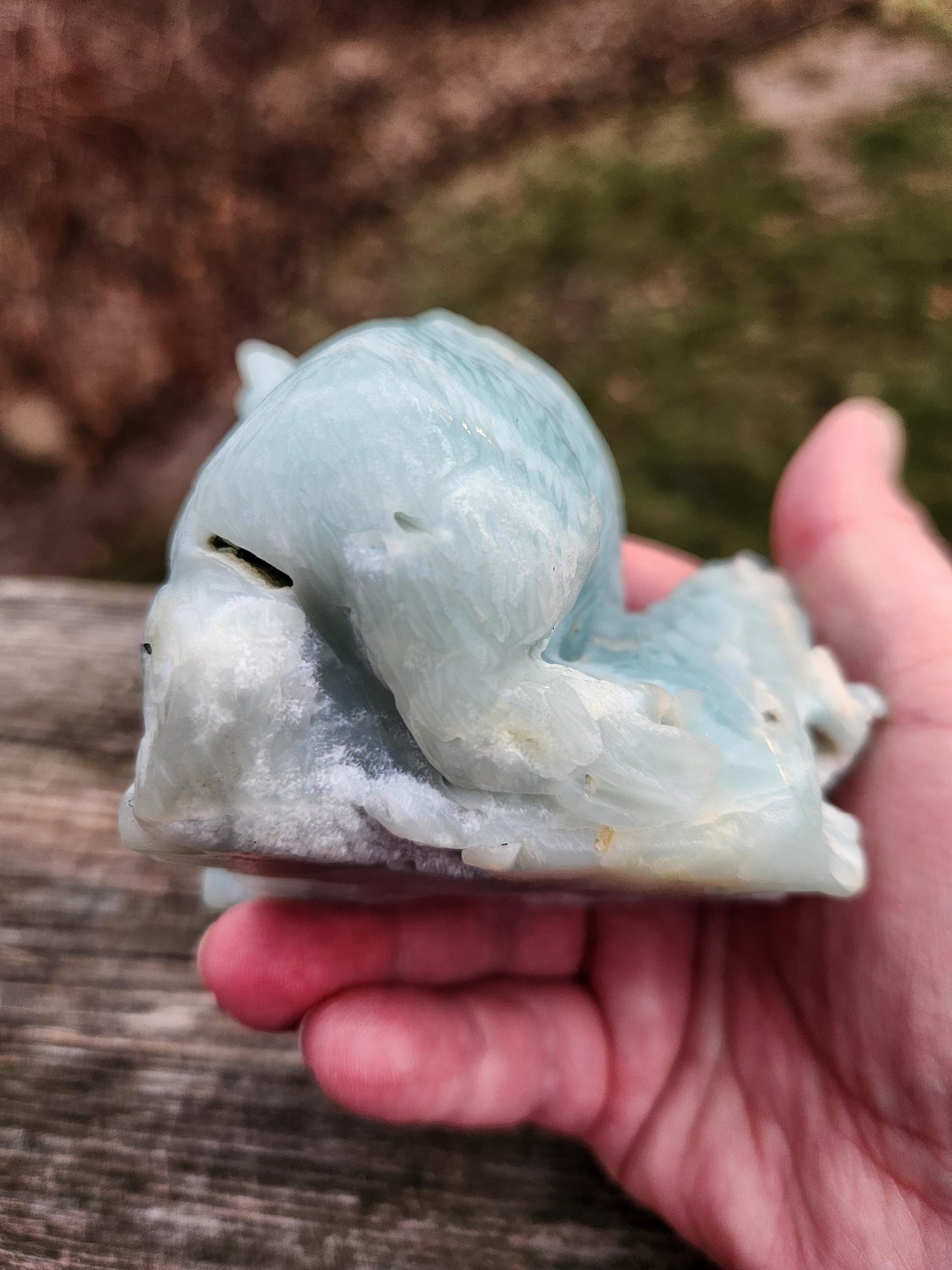 Blue Aragonite Crystal Koala Bear Carving