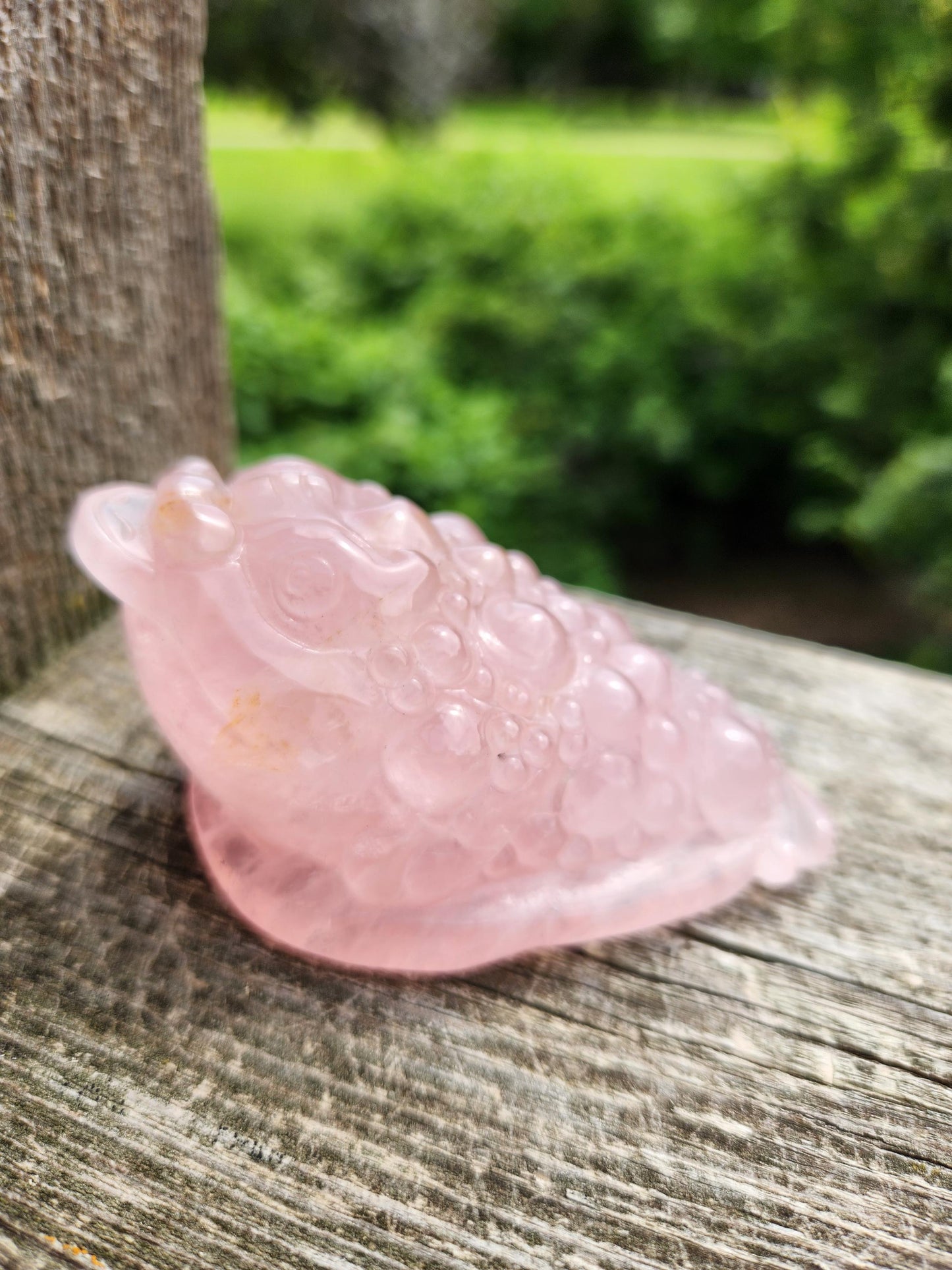 Rose Quartz Money Toad with Golden Healer Crystal Carving