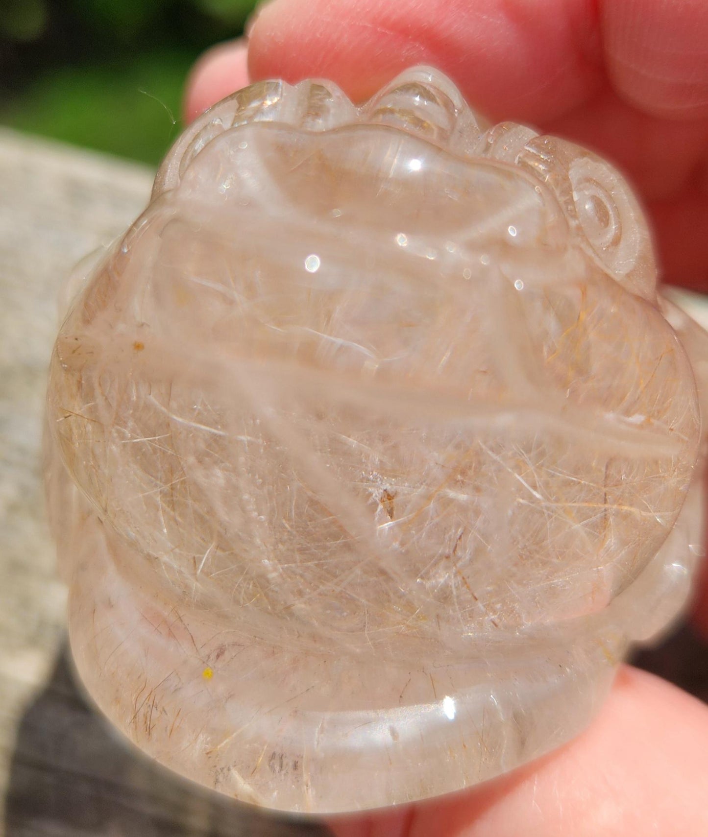 Gorgeous AAA Golden Healer Quartz with Golden Rutile Crystal Money Toad All Natural, Large, So Rare!