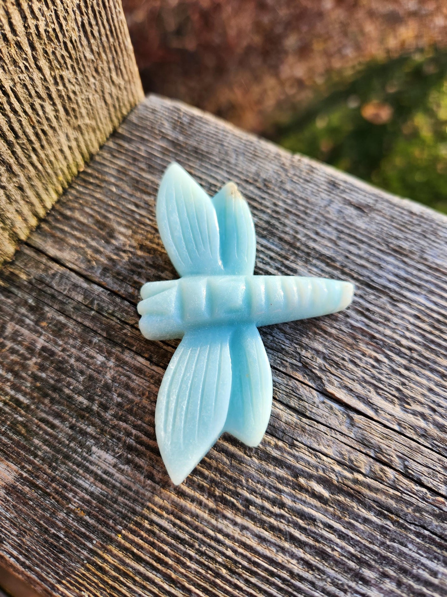 AAA Blue Aragonite Unique Crystal Dragonfly