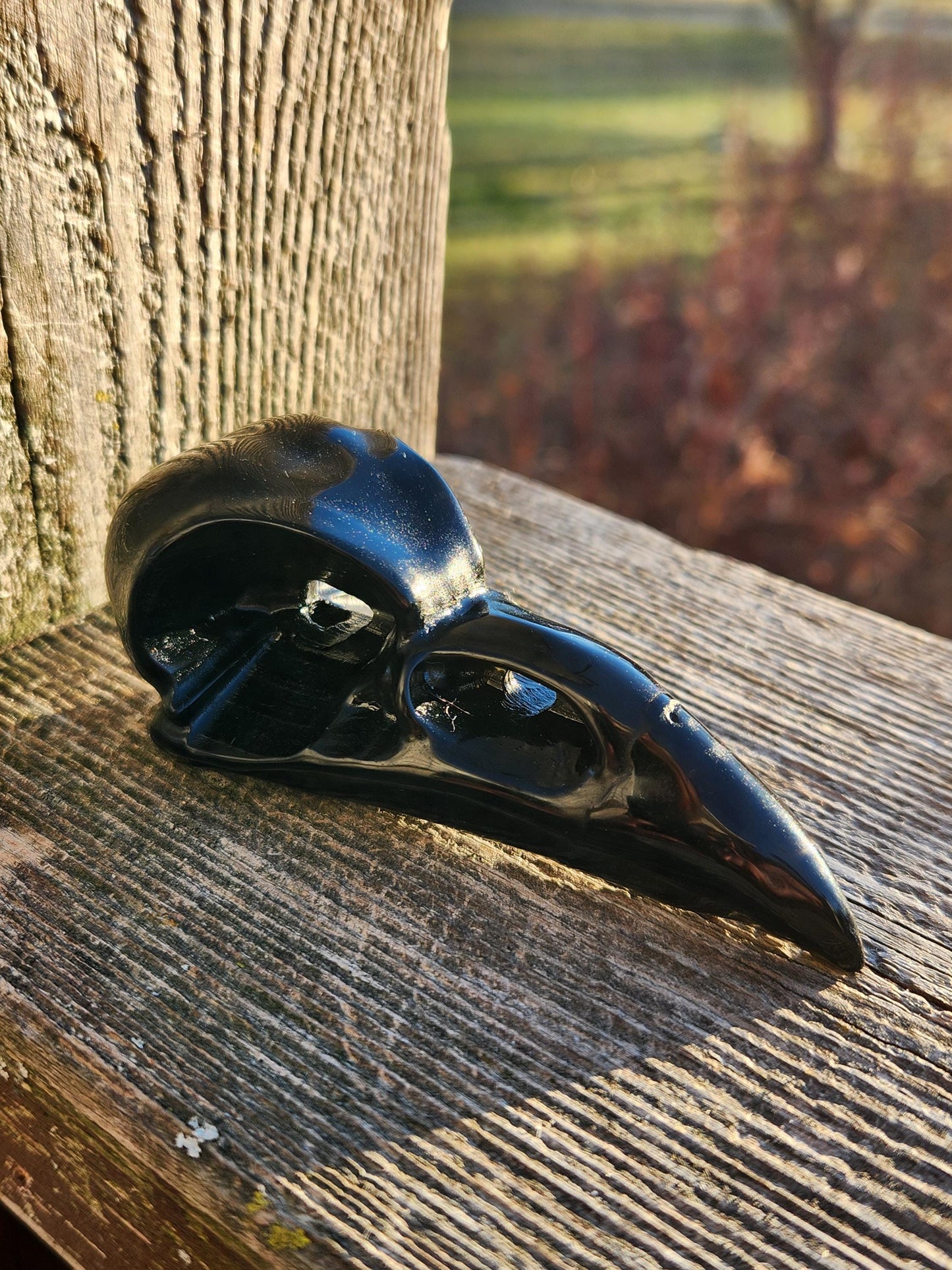 Carved Black Obsidian Medium Raven Skull: Crystal Carving, One