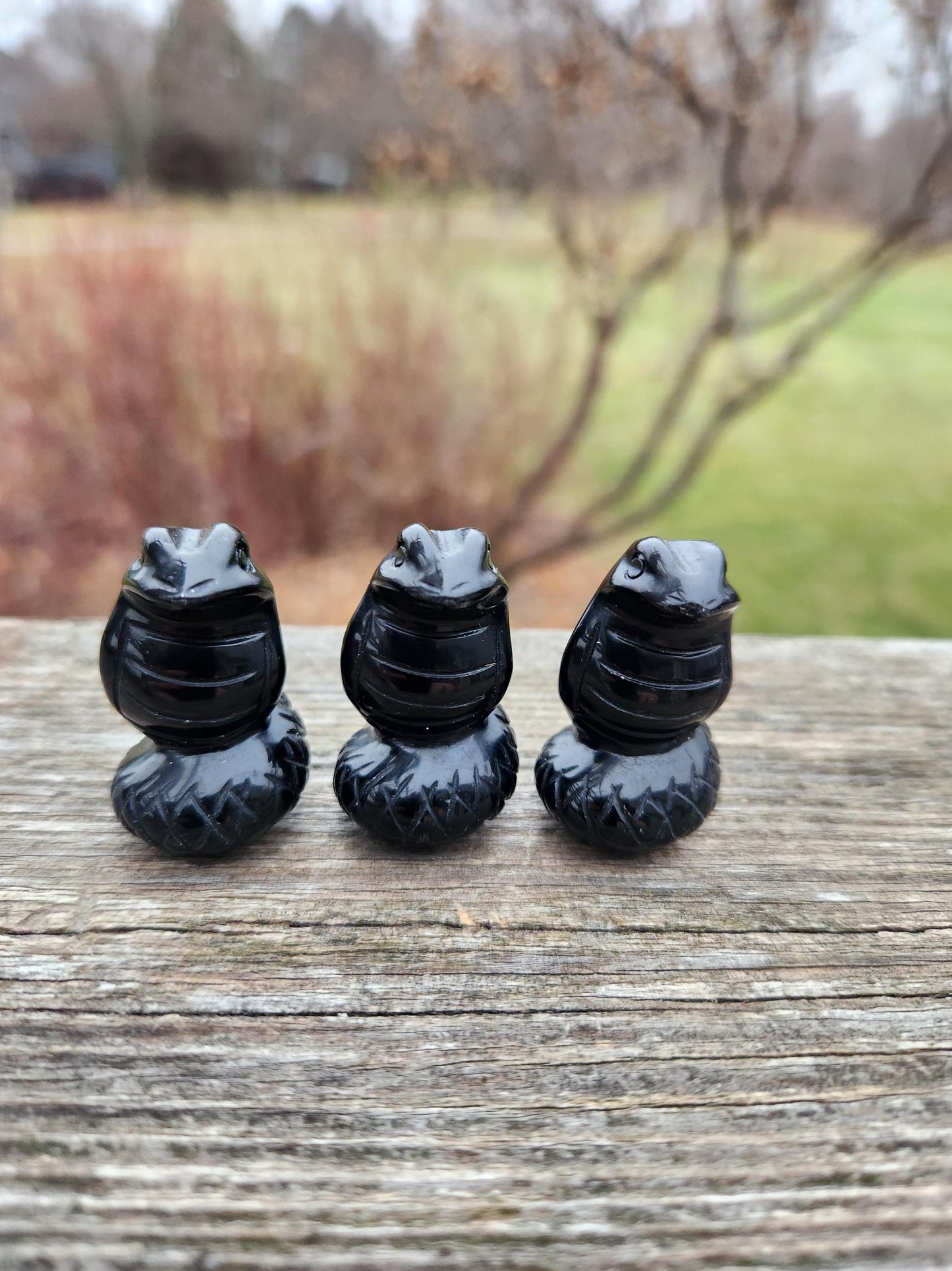 Carved Black Obsidian Cobra Snake: Crystal Carving, One