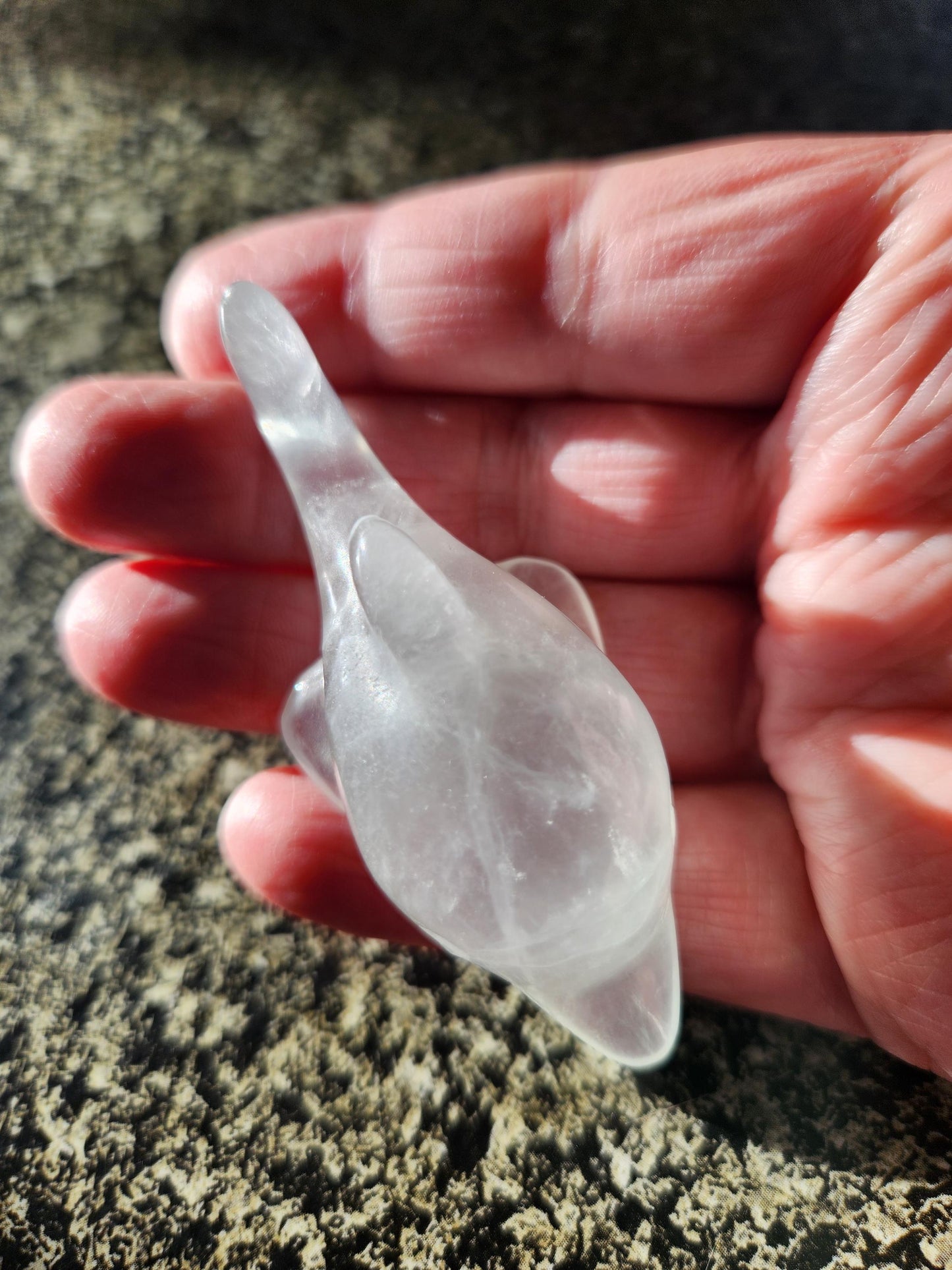 Mini Light Green Fluorite Dolphin Crystal Carving - High Polish