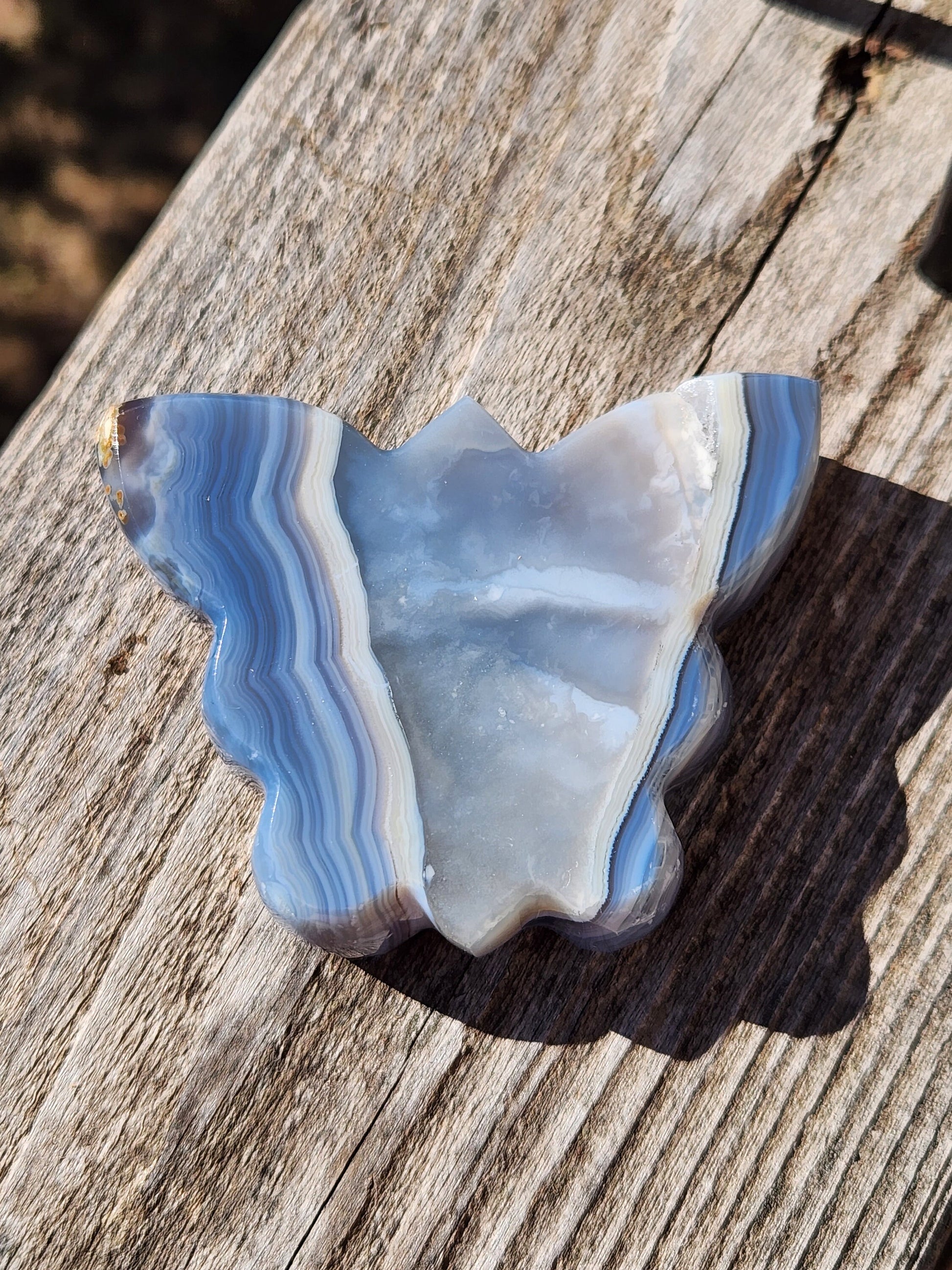 Stunning Blue Banded Druzy Thick Slab Cut Agate Crystal Butterfly with a black metal stand