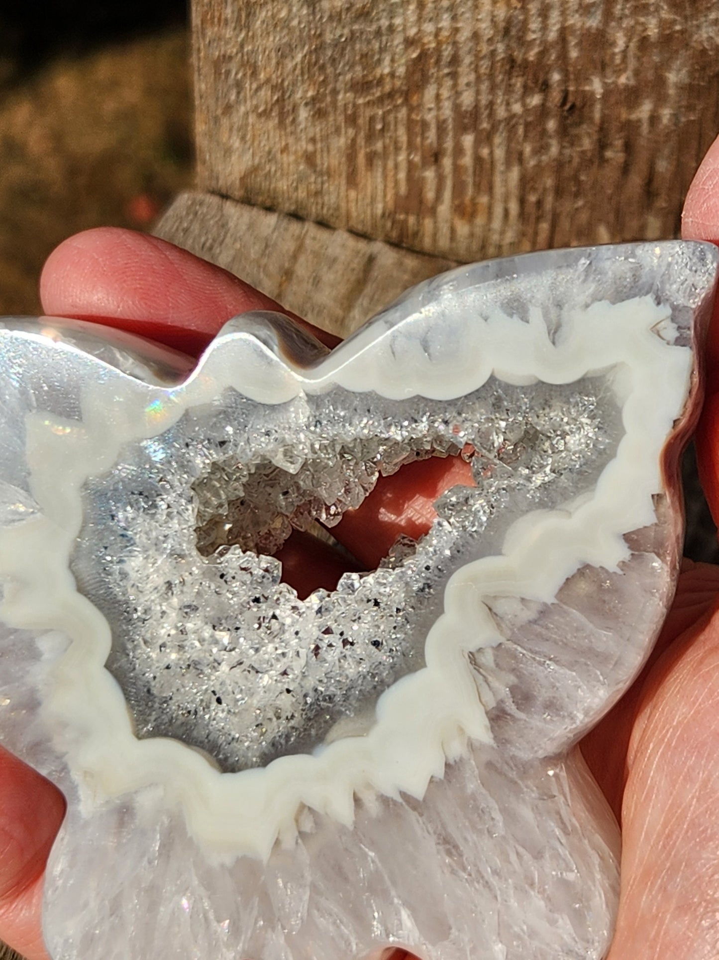 Stunningly AAA White & Silver Gray Banded Thick Slab Cut Druzy Agate Butterfly with stand Druzy goes all the way through, Portal