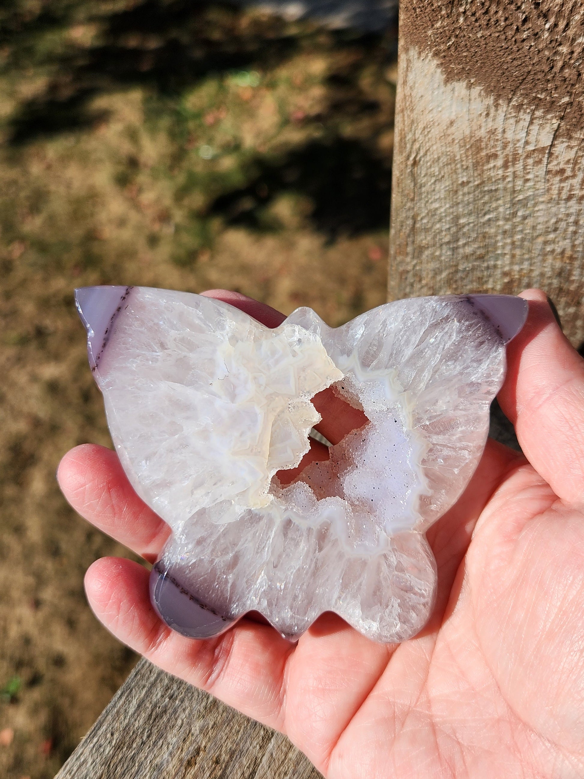 Stunningly Beautiful White and Purple Tipped Druzy Thick Slab Cut Agate Butterfly with black metal stand, Portal, Rainbows!