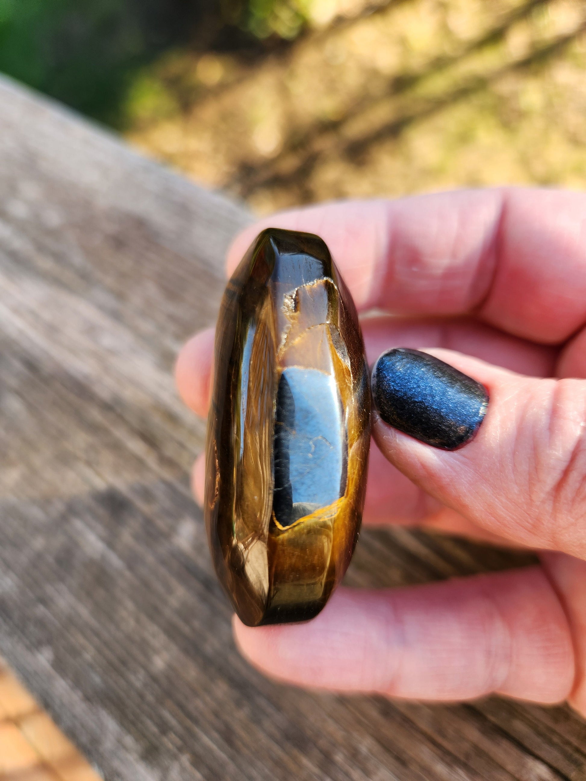 Beautiful Juicy Tigers Eye Palm with Flash Stone Natural Crystal