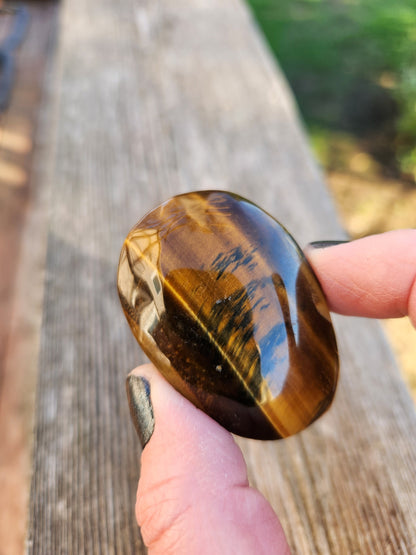 Flashy Tiger's Eye Palm Stone: Natural Polished Crystal