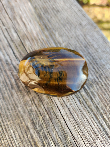 Flashy Tiger's Eye Palm Stone: Natural Polished Crystal