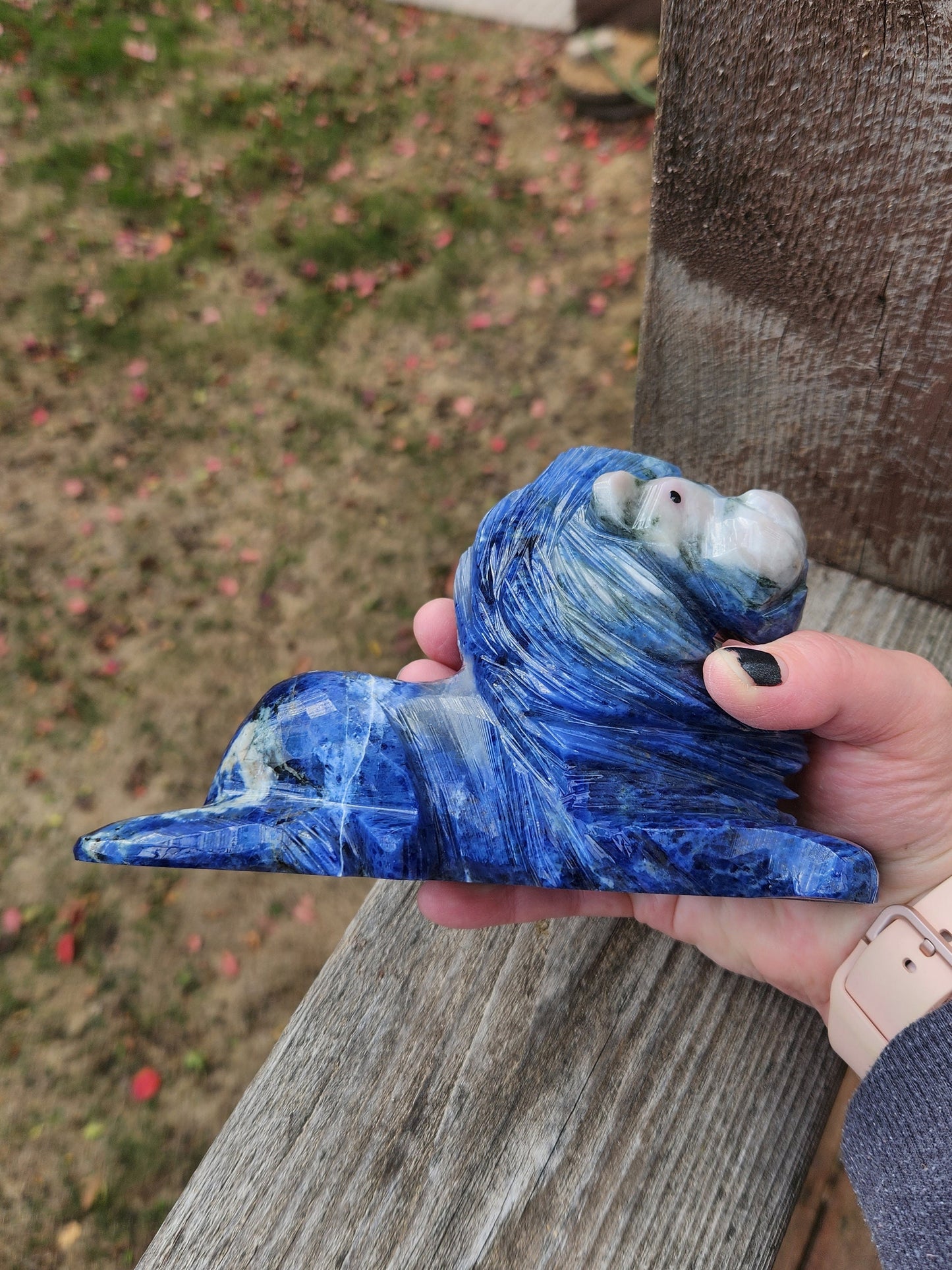 Gorgeous AAA High Polished High Quality Master Carved Sodalite Lion Crystal Statue