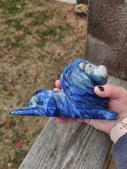 Regal AAA Master Carved Sodalite Lion Crystal Statue. Leo