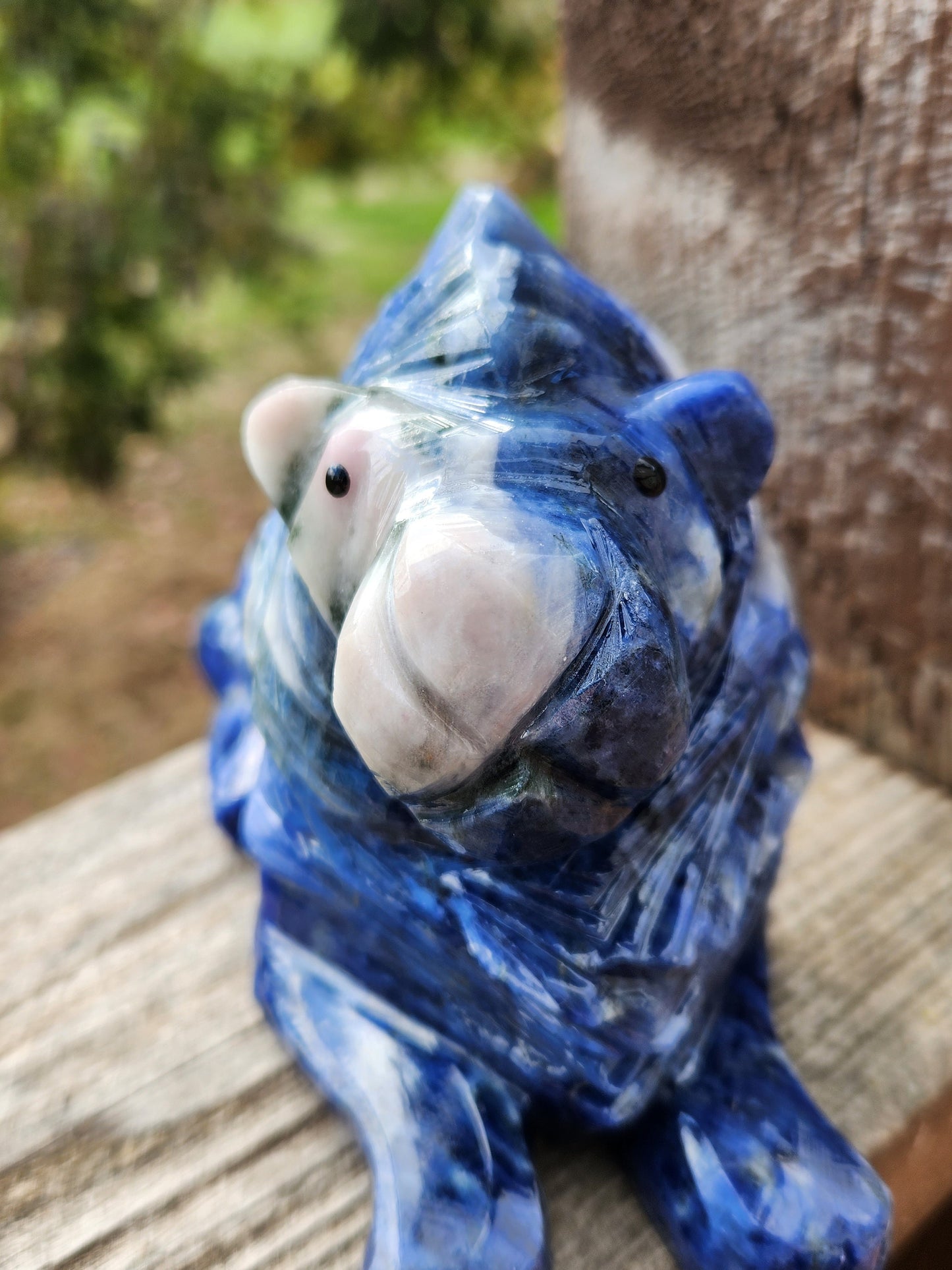 Regal AAA Master Carved Sodalite Lion Crystal Statue. Leo