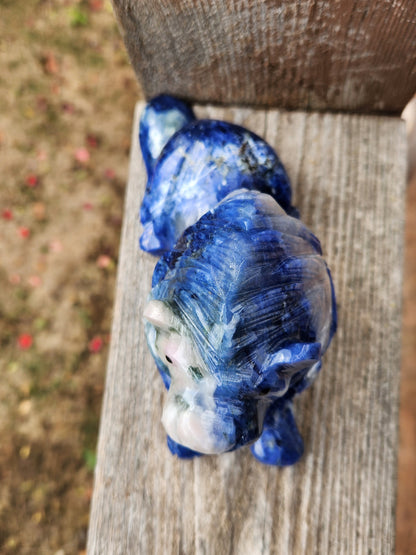 Regal AAA Master Carved Sodalite Lion Crystal Statue. Leo