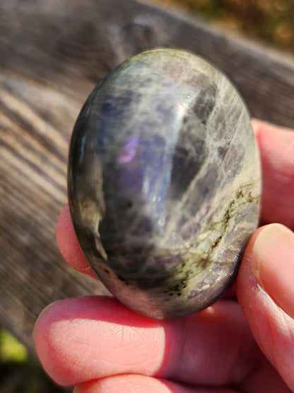 AAA Labradorite Crystal Tumble: High Polished Purple Blue Flash