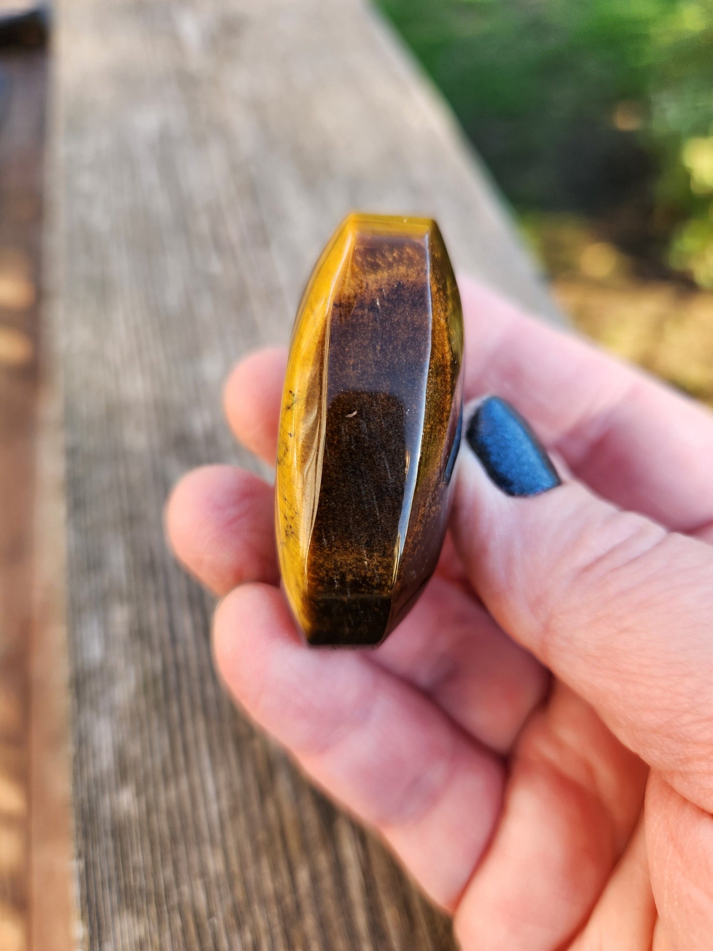 Beautiful Juicy Tigers Eye Palm with Flash Stone Natural Crystal